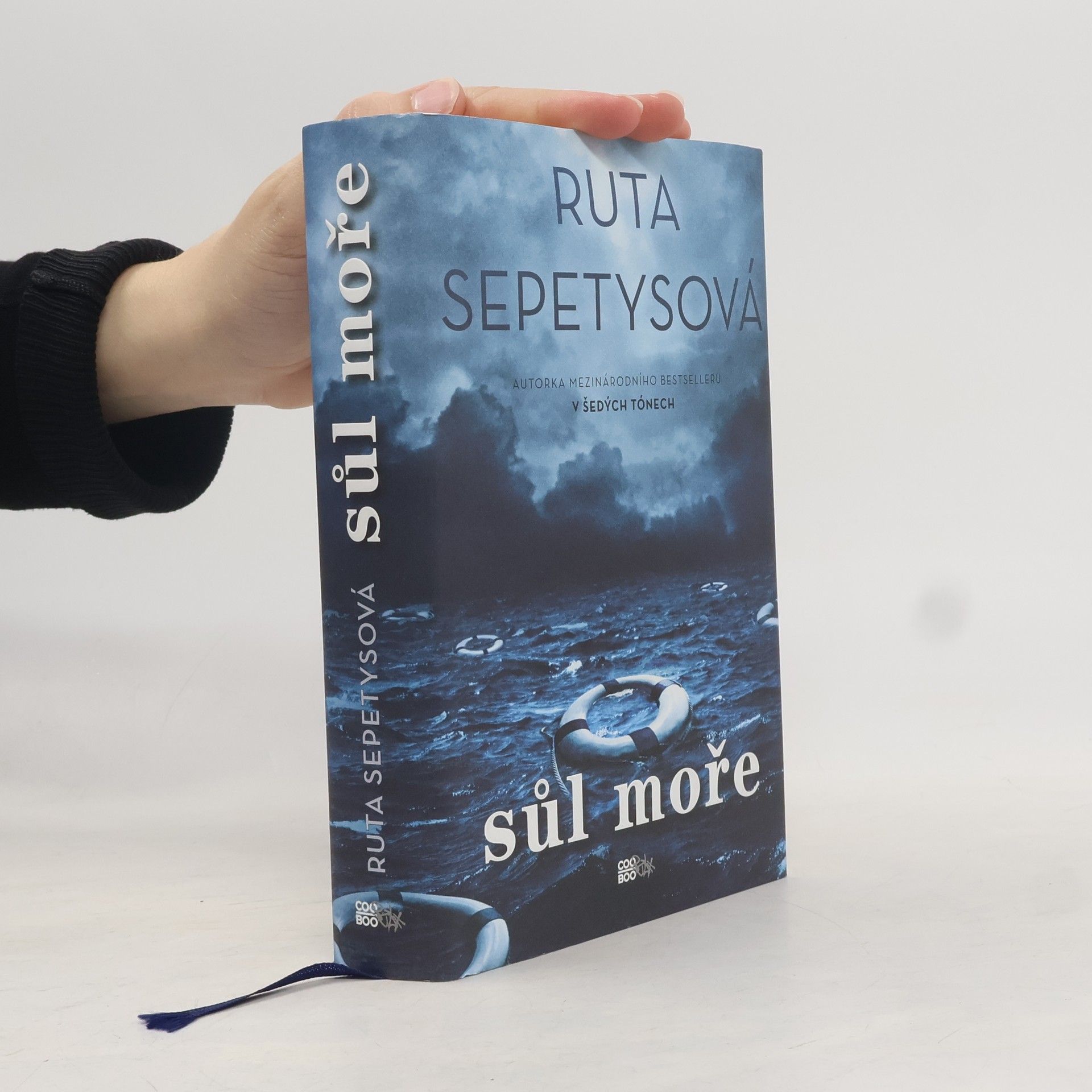 Ruta Sepetys Sůl moře