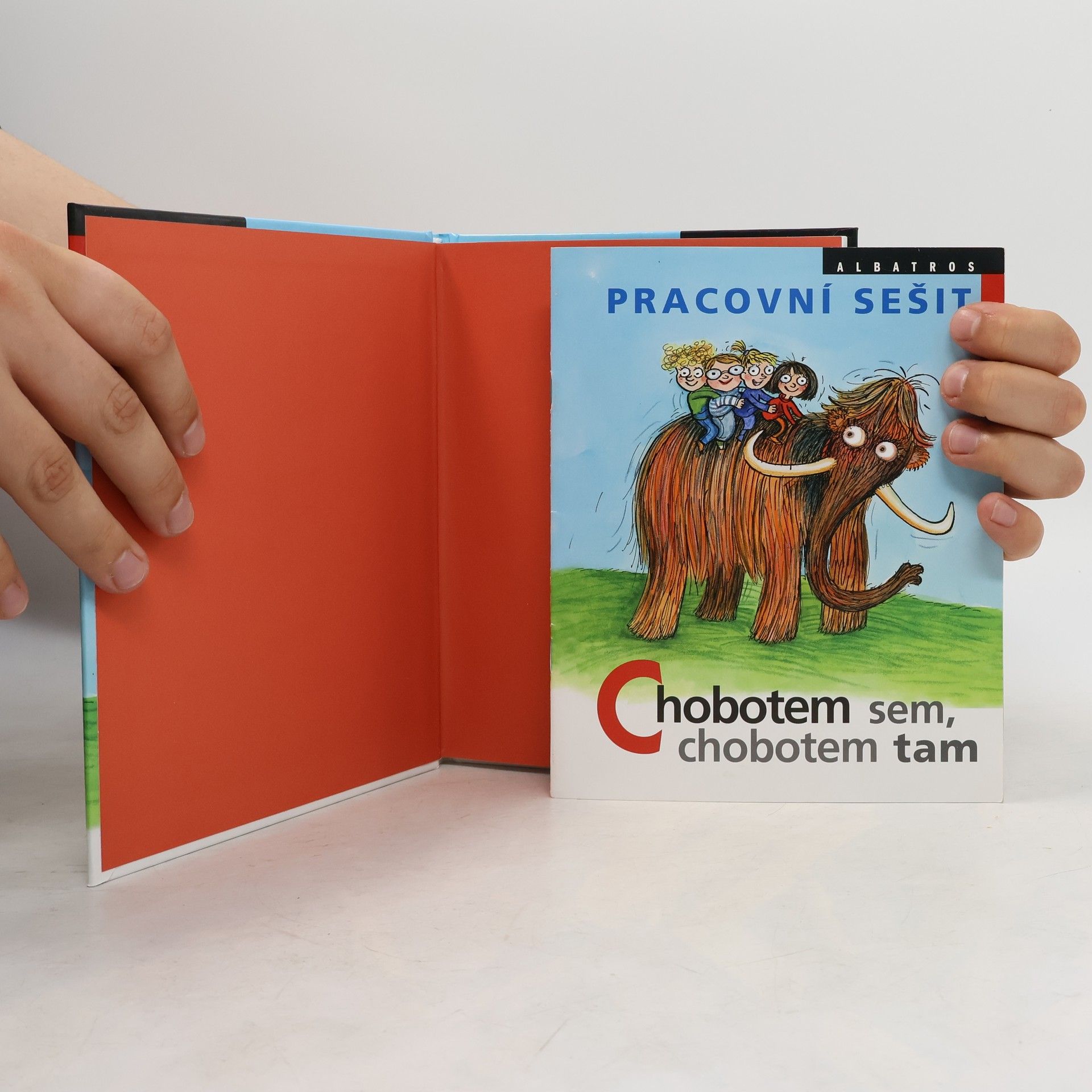 Ivona Březinová Chobotem sem, chobotem tam