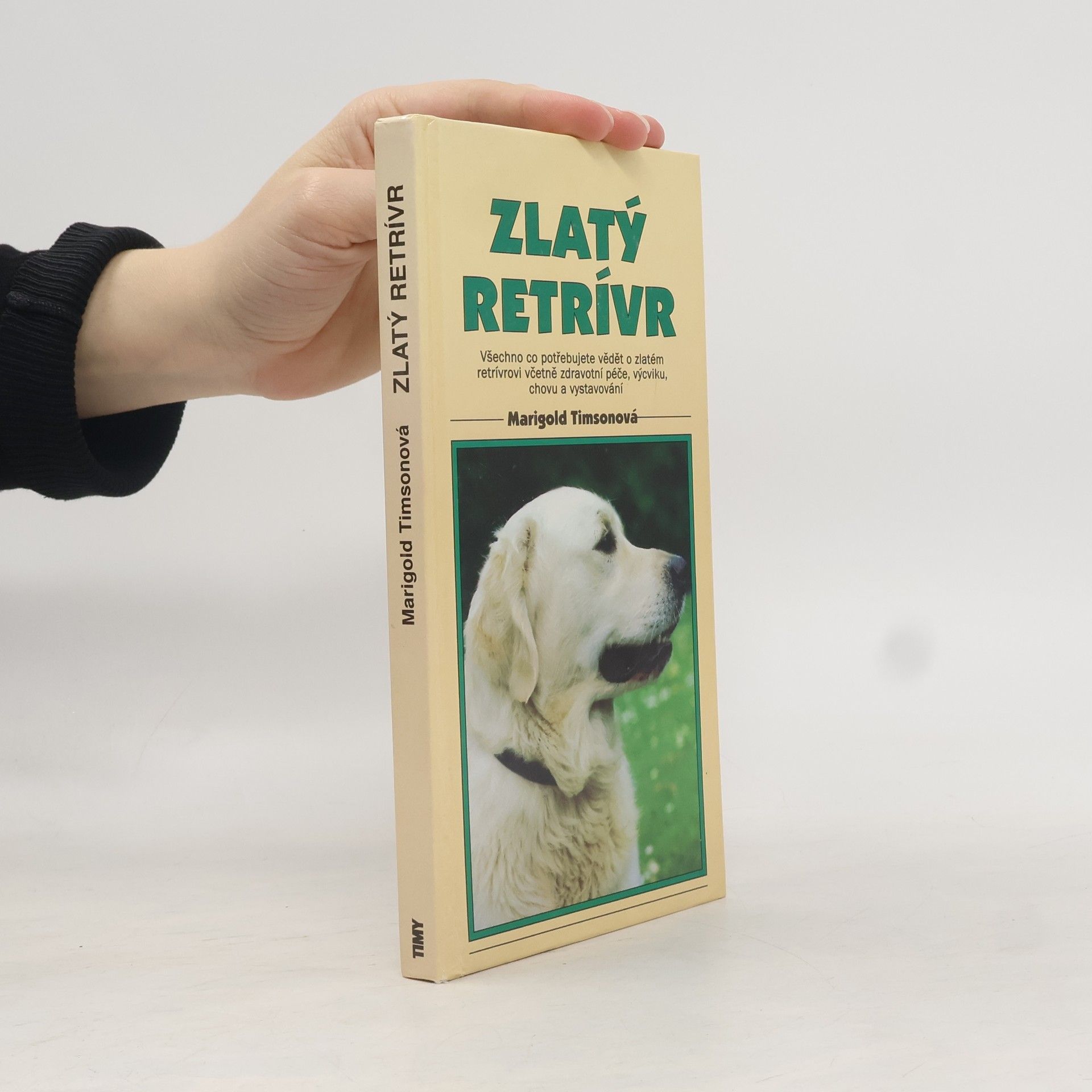 Marigold Timson Zlatý retriever