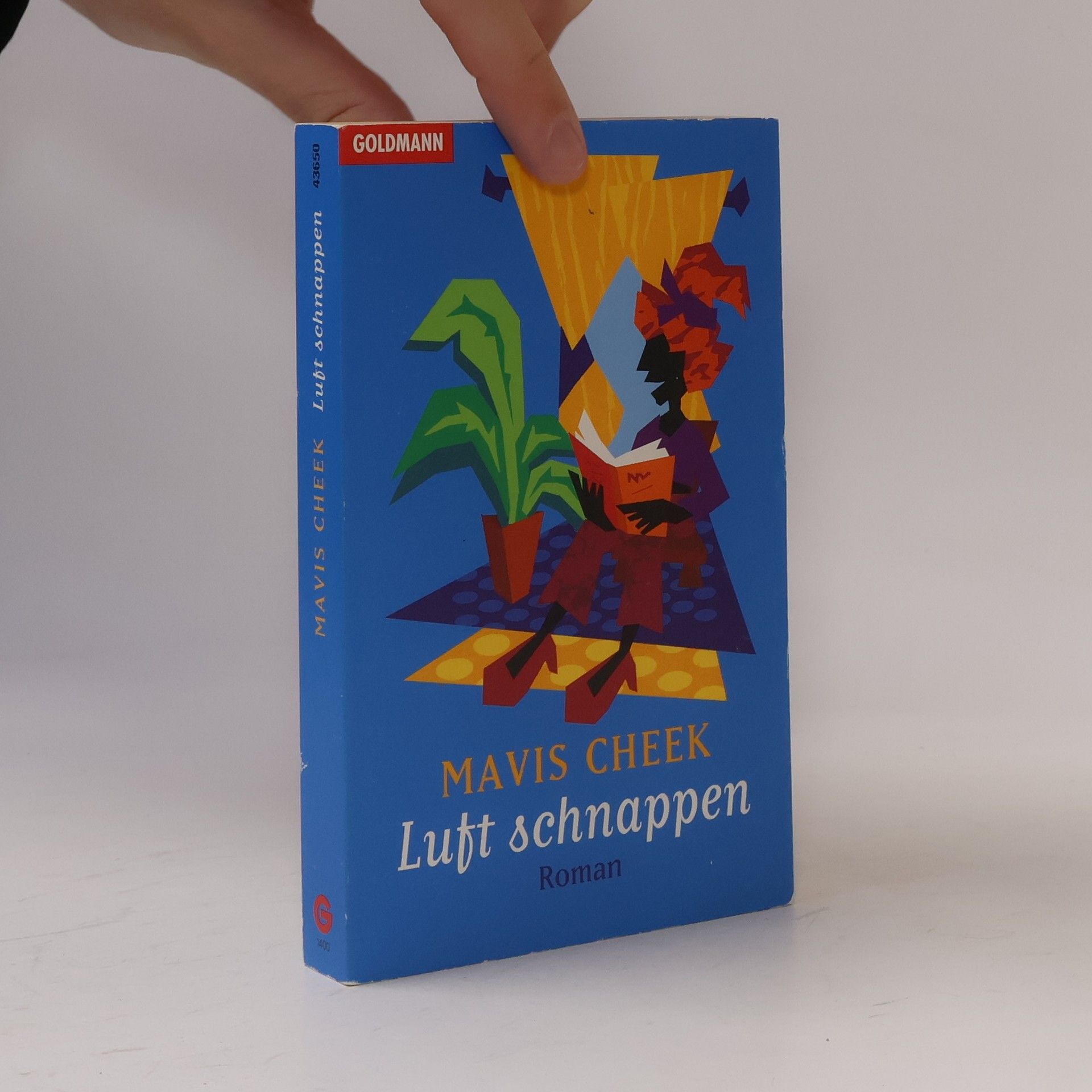 Mavis Cheek Luft schnappen