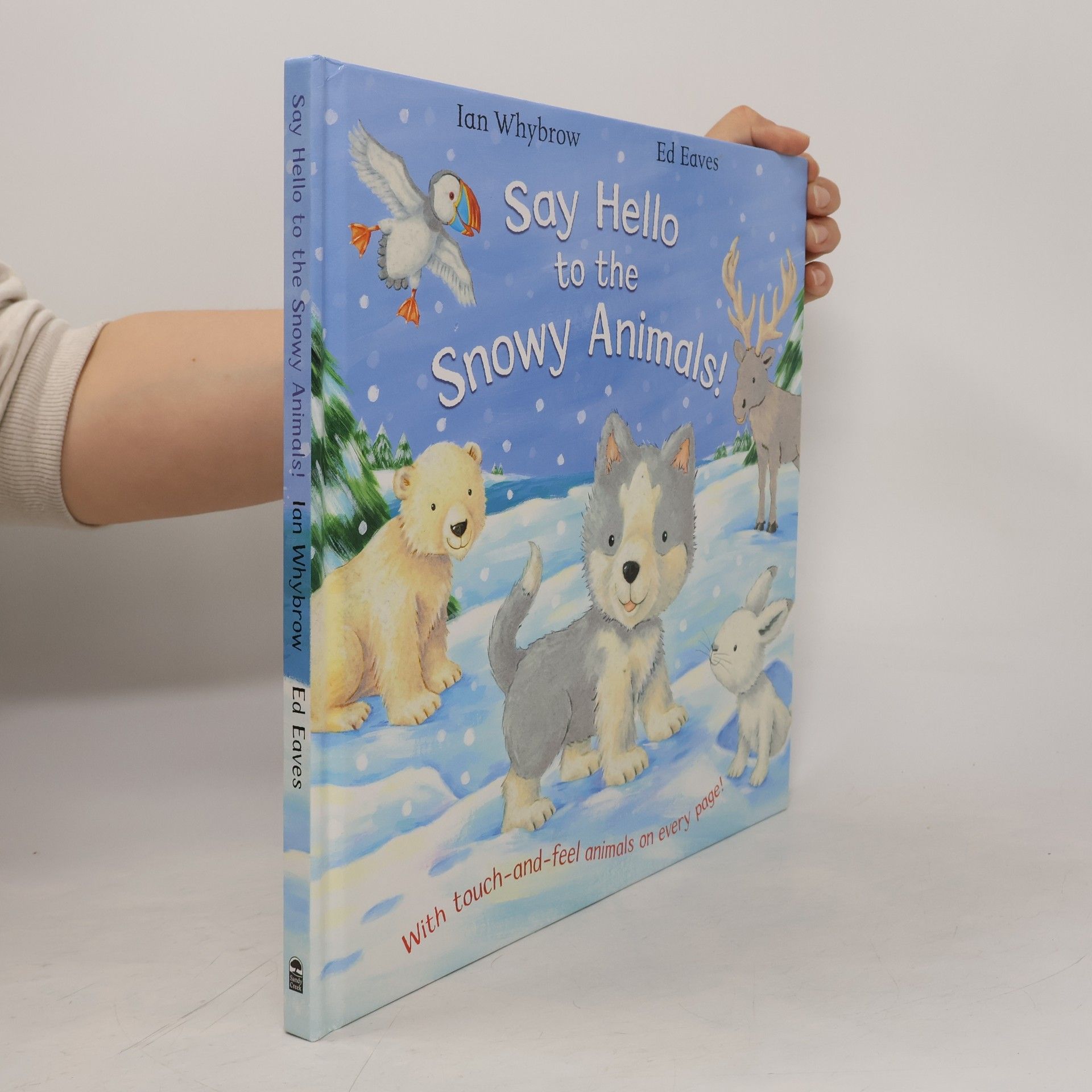 Say Hello to the Snowy Animals!