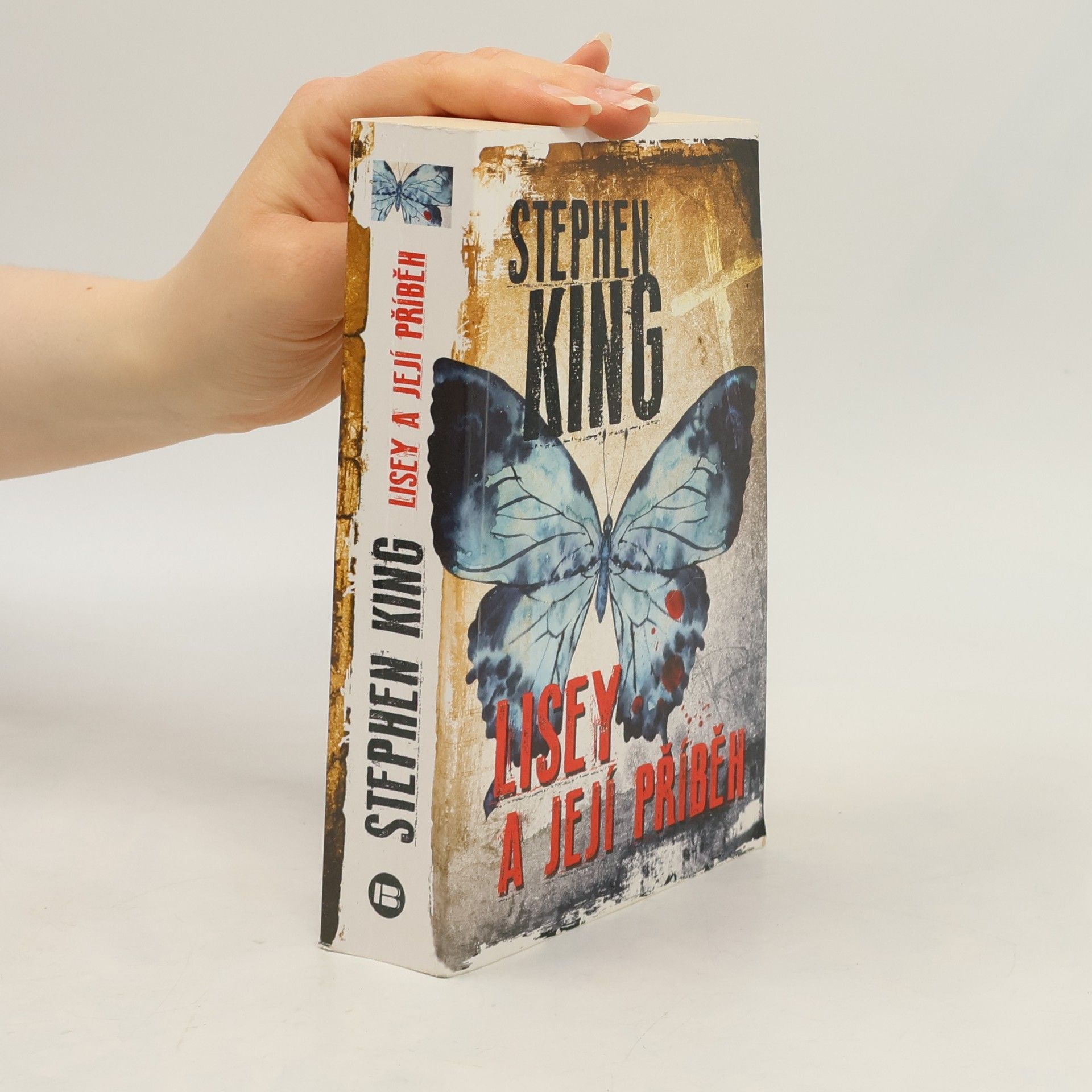 Stephen King Lisey a její příběh