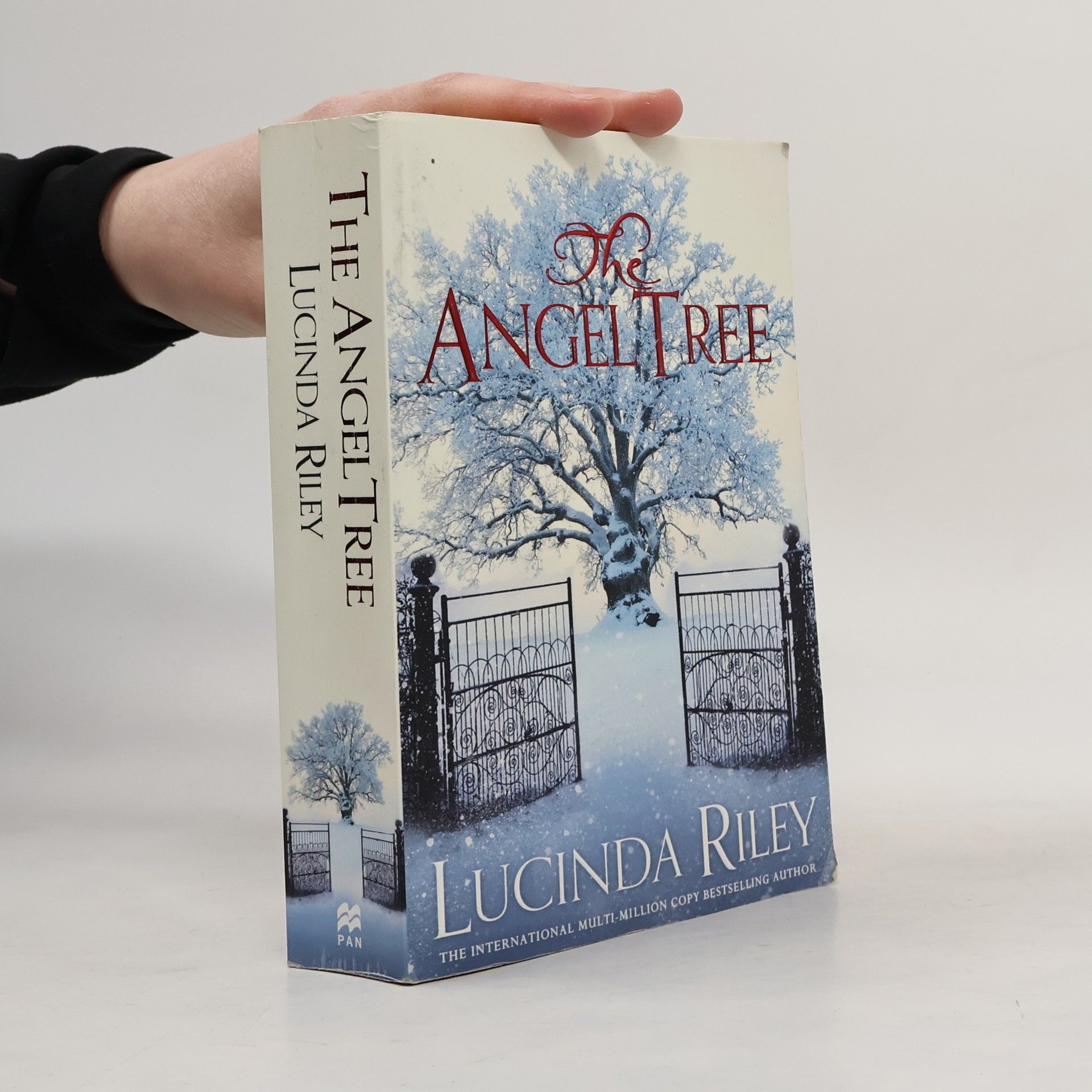 Lucinda Riley The Angel Tree