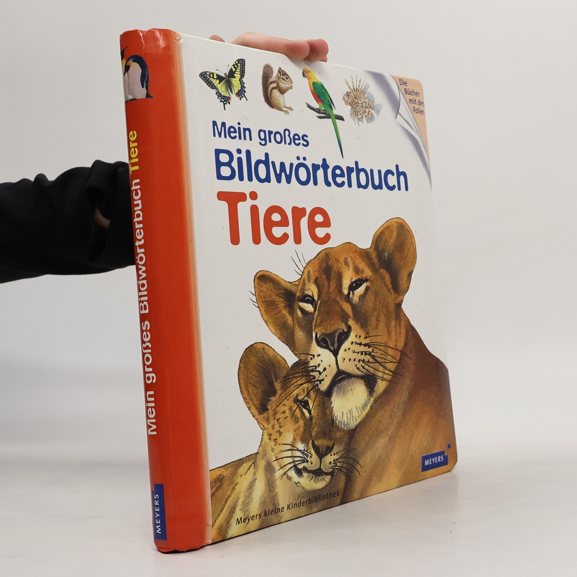 Auteurscollectief Mein großes Bildwörterbuch Tiere