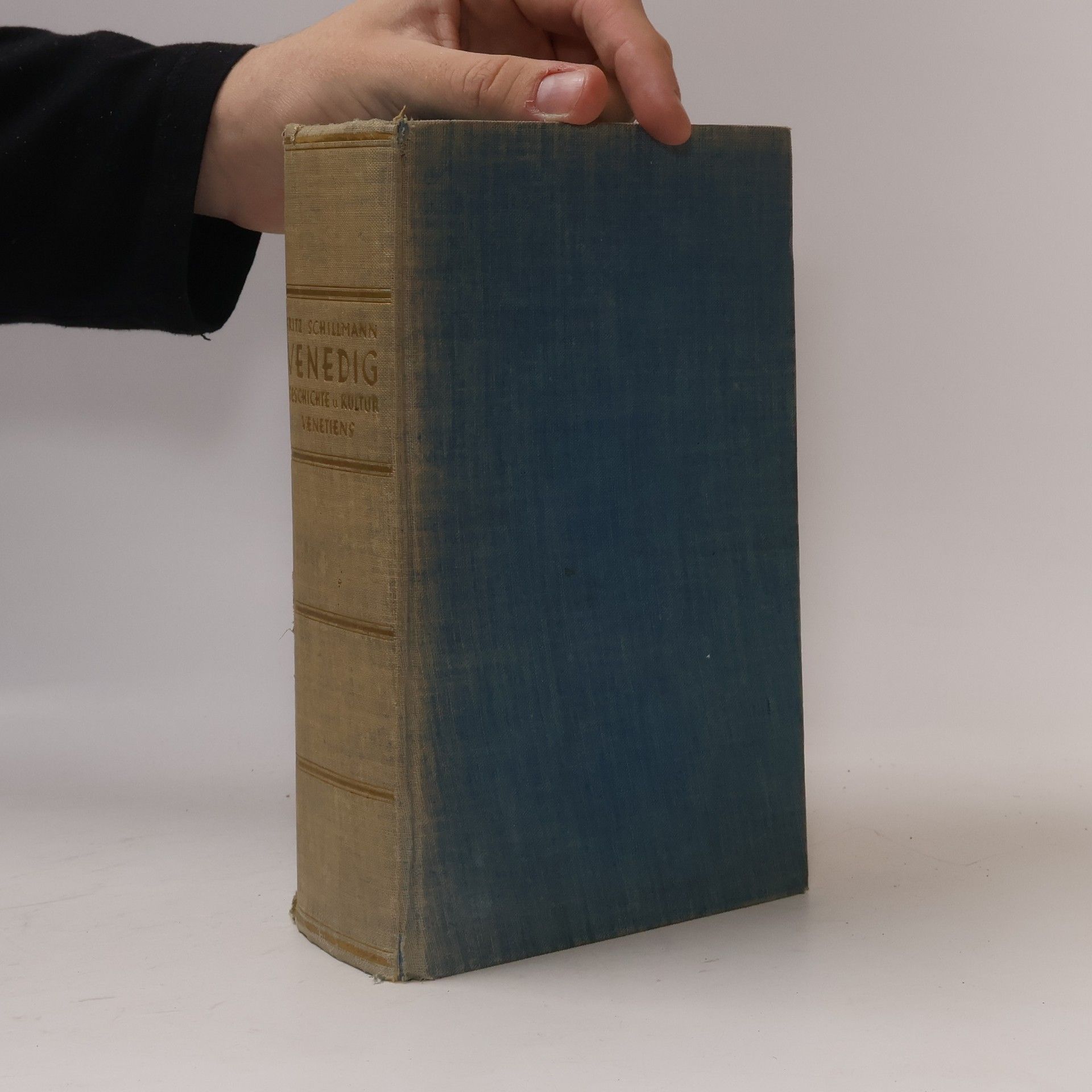 Fritz Schillmann Venedig. Geschichte und Kultur Venetiens
