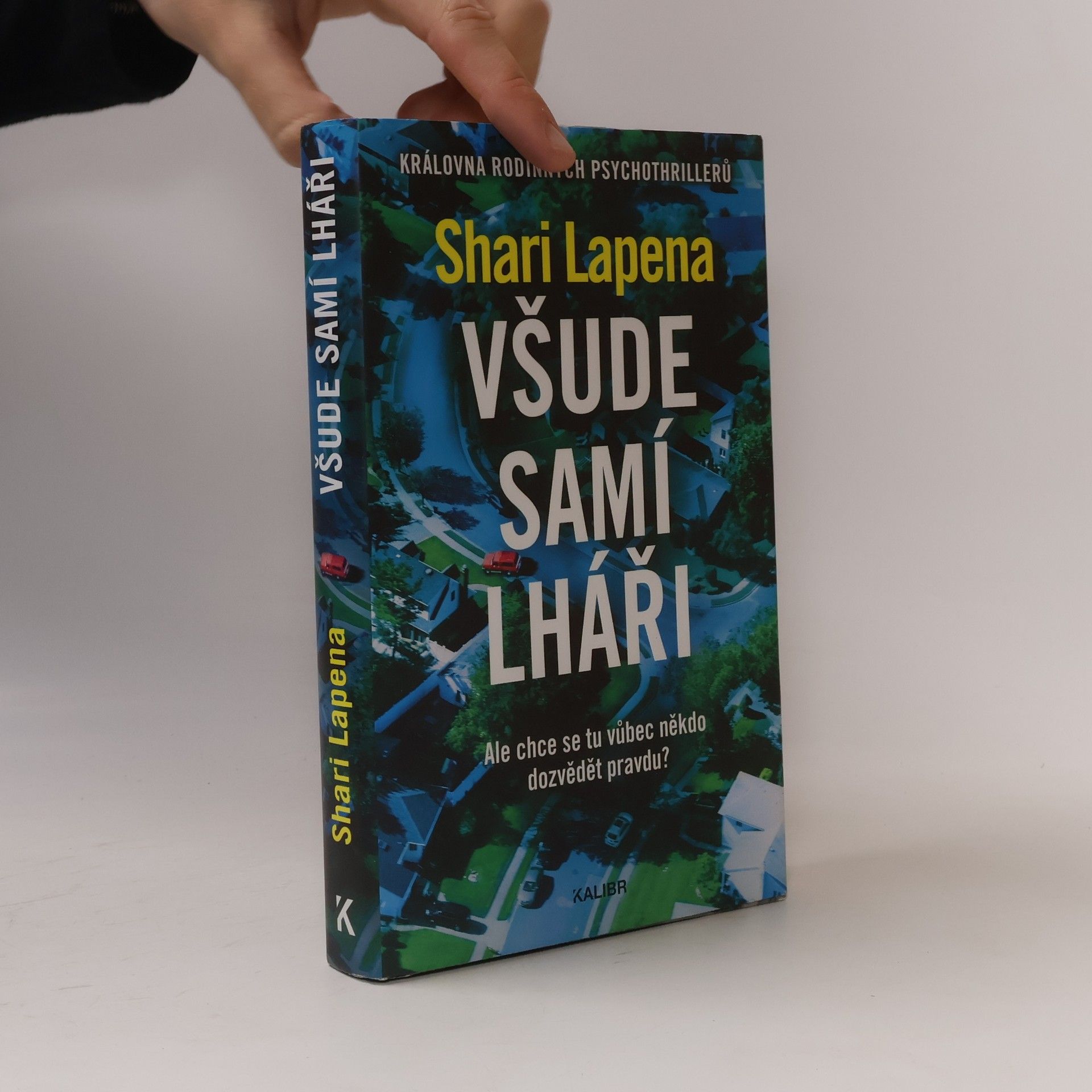 Shari Lapena Všude samí lháři