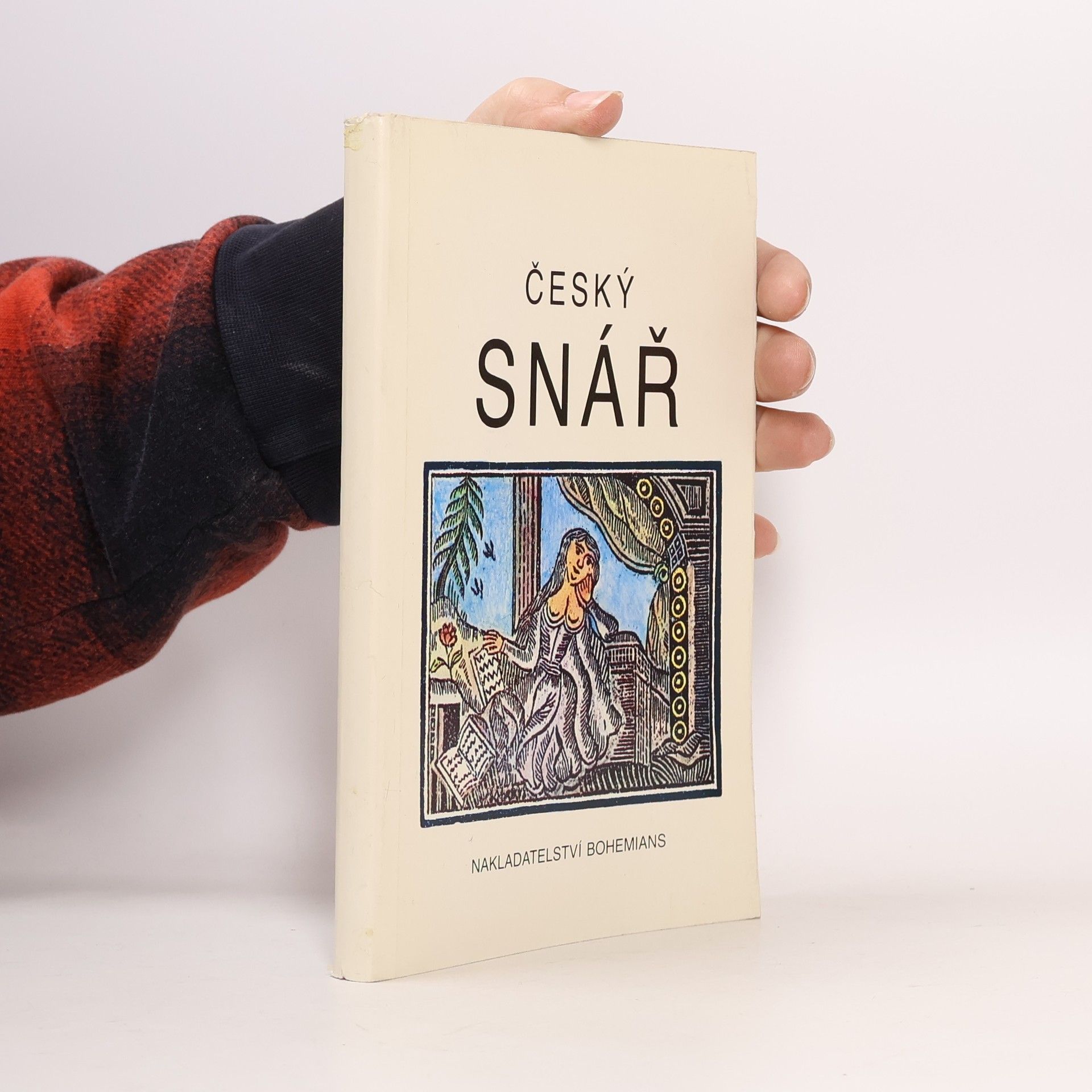 Český snář