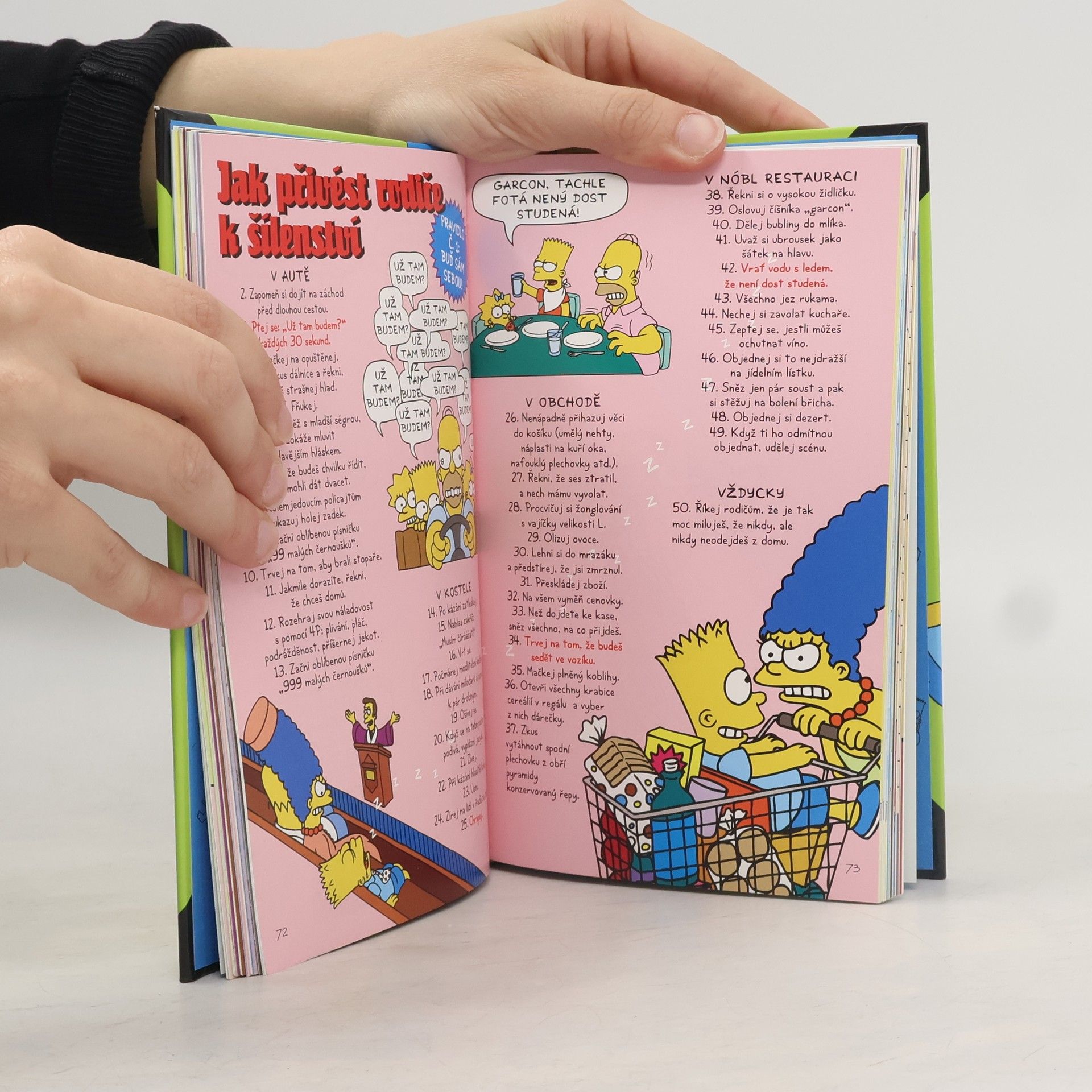 Matt Groening Bart Simpson: Průvodce životem
