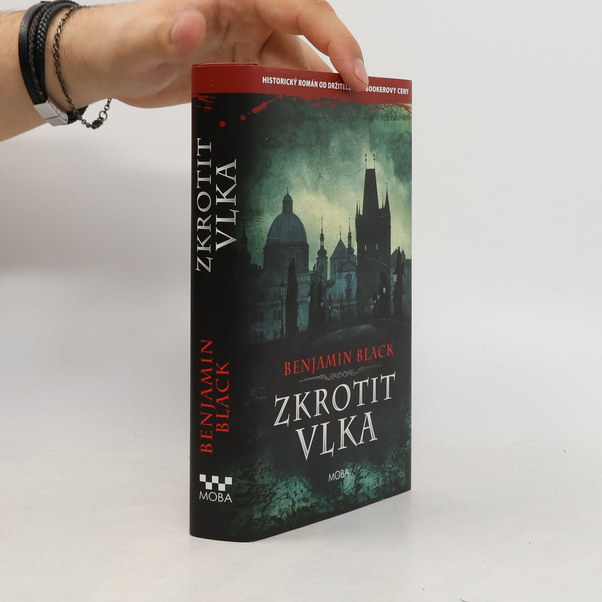 John Banville Zkrotit vlka