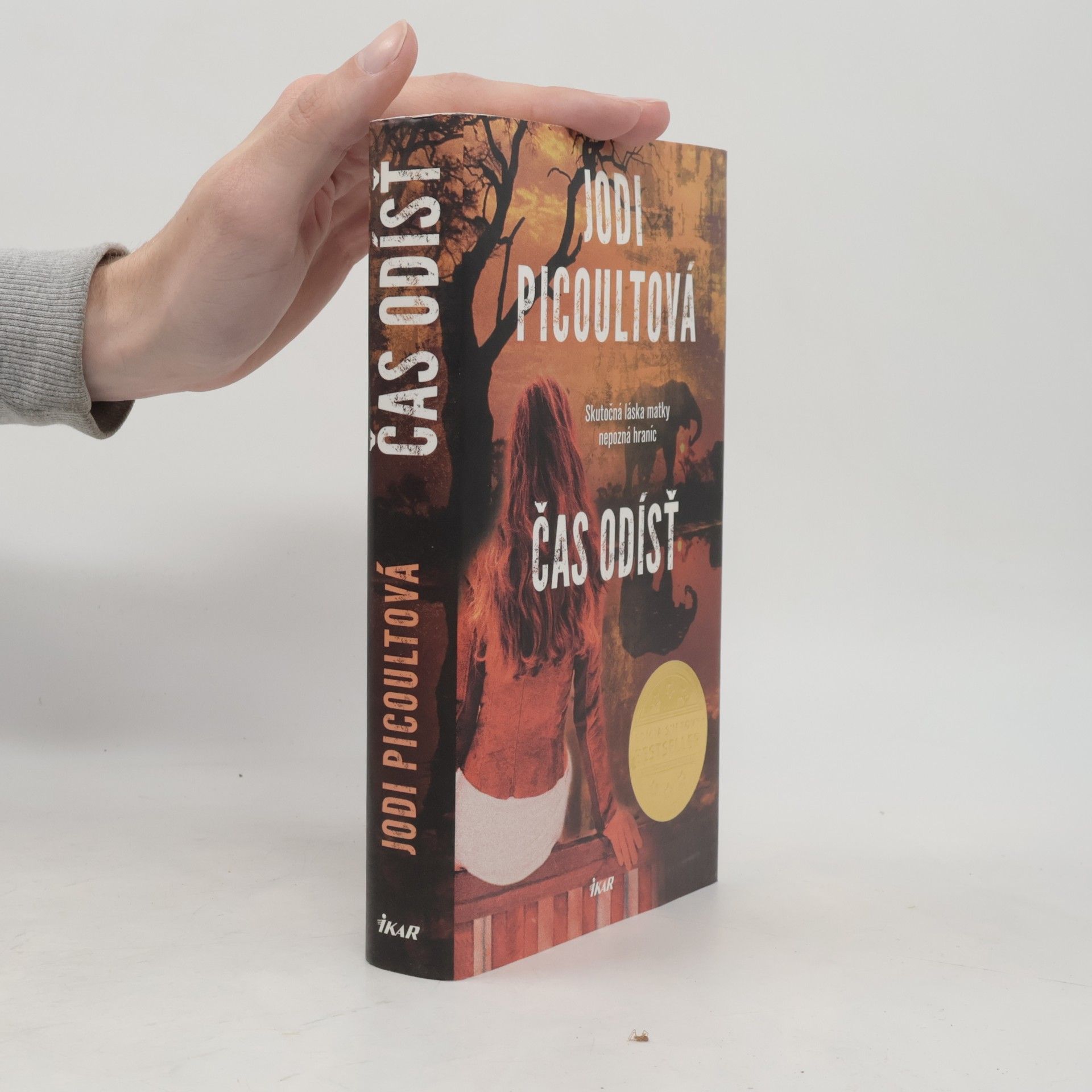 Jodi Picoult Čas odísť