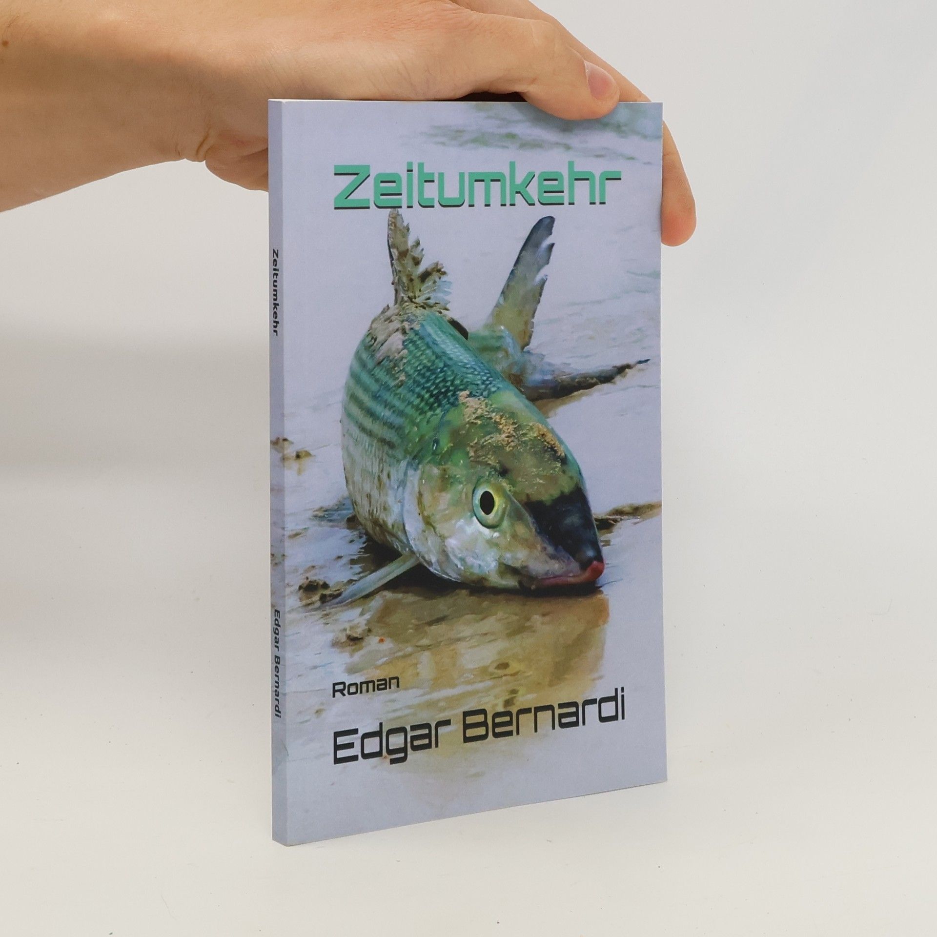 Edgar Bernardi Zeitumkehr: Roman