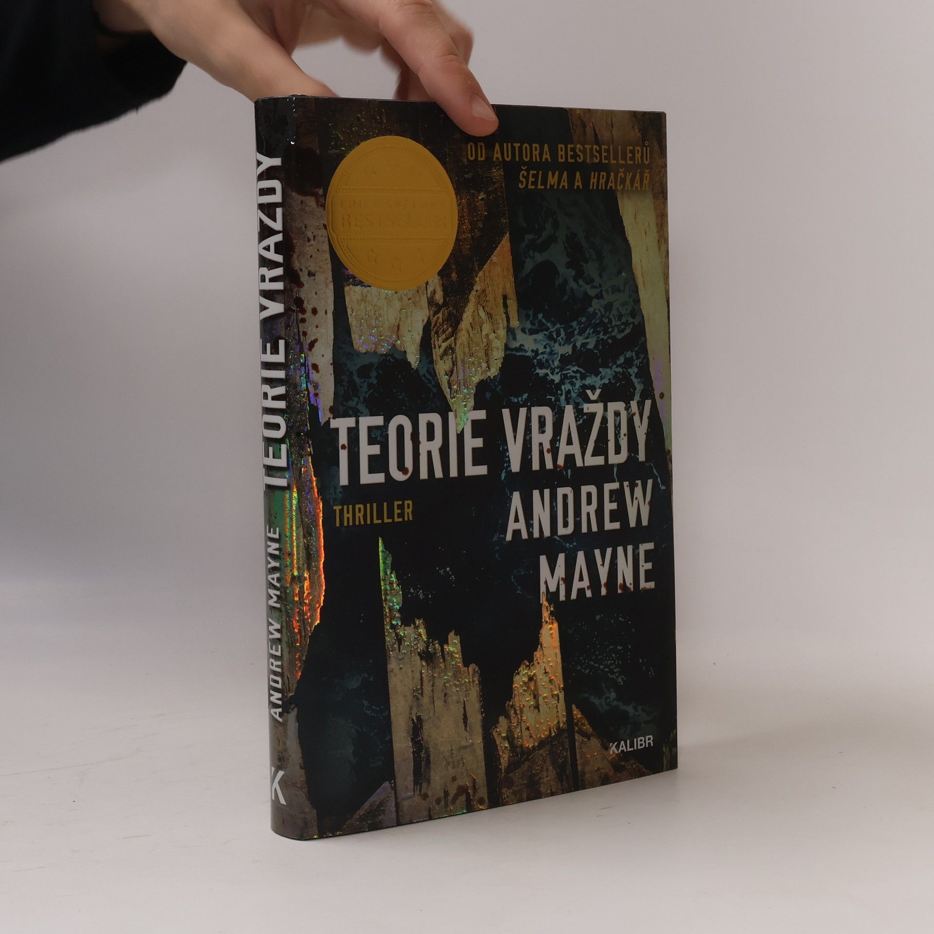 Andrew Mayne Teorie vraždy