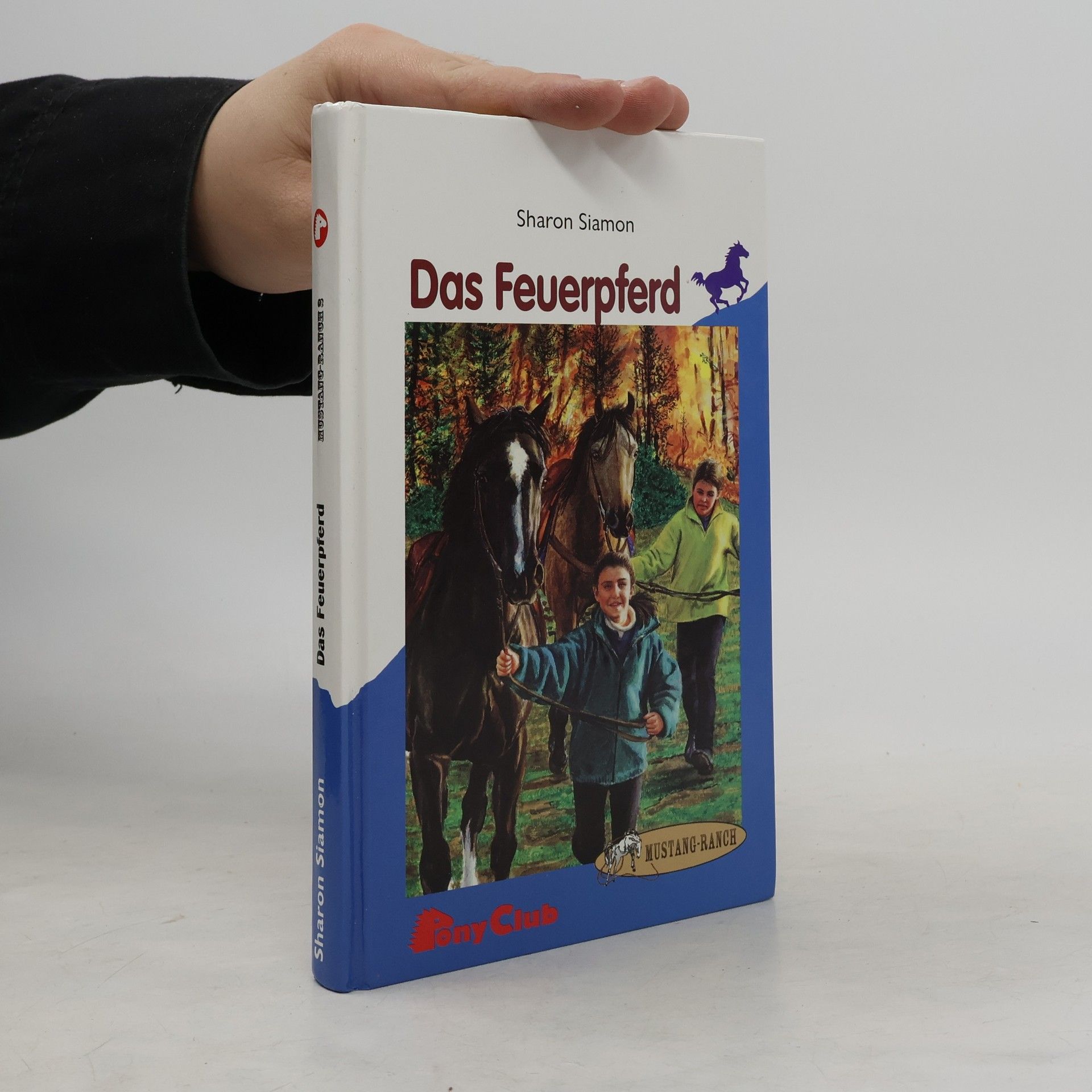 Autorenkollektiv Das Feuerpferd, 2