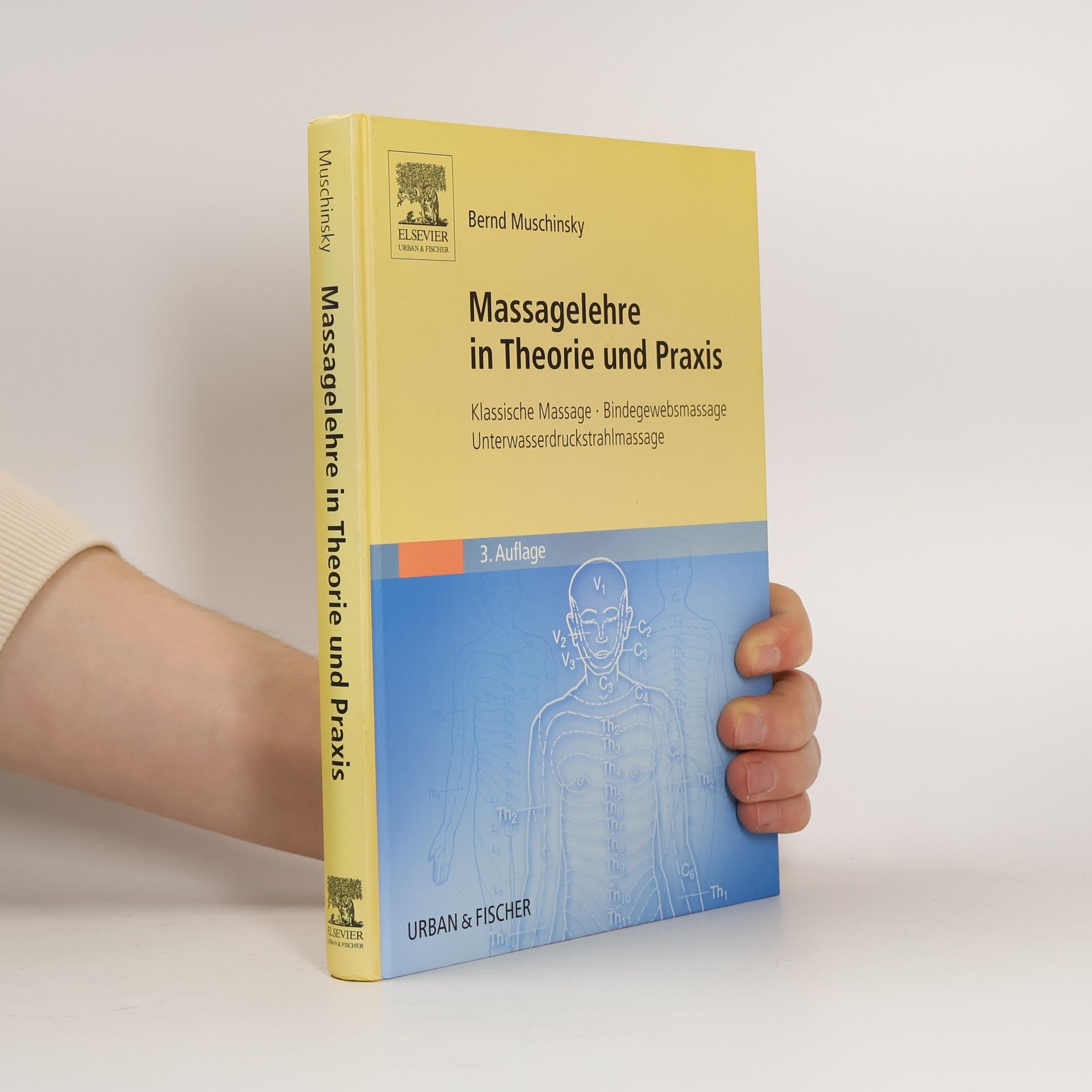 Bernd Muschinsky Massagelehre in Theorie und Praxis
