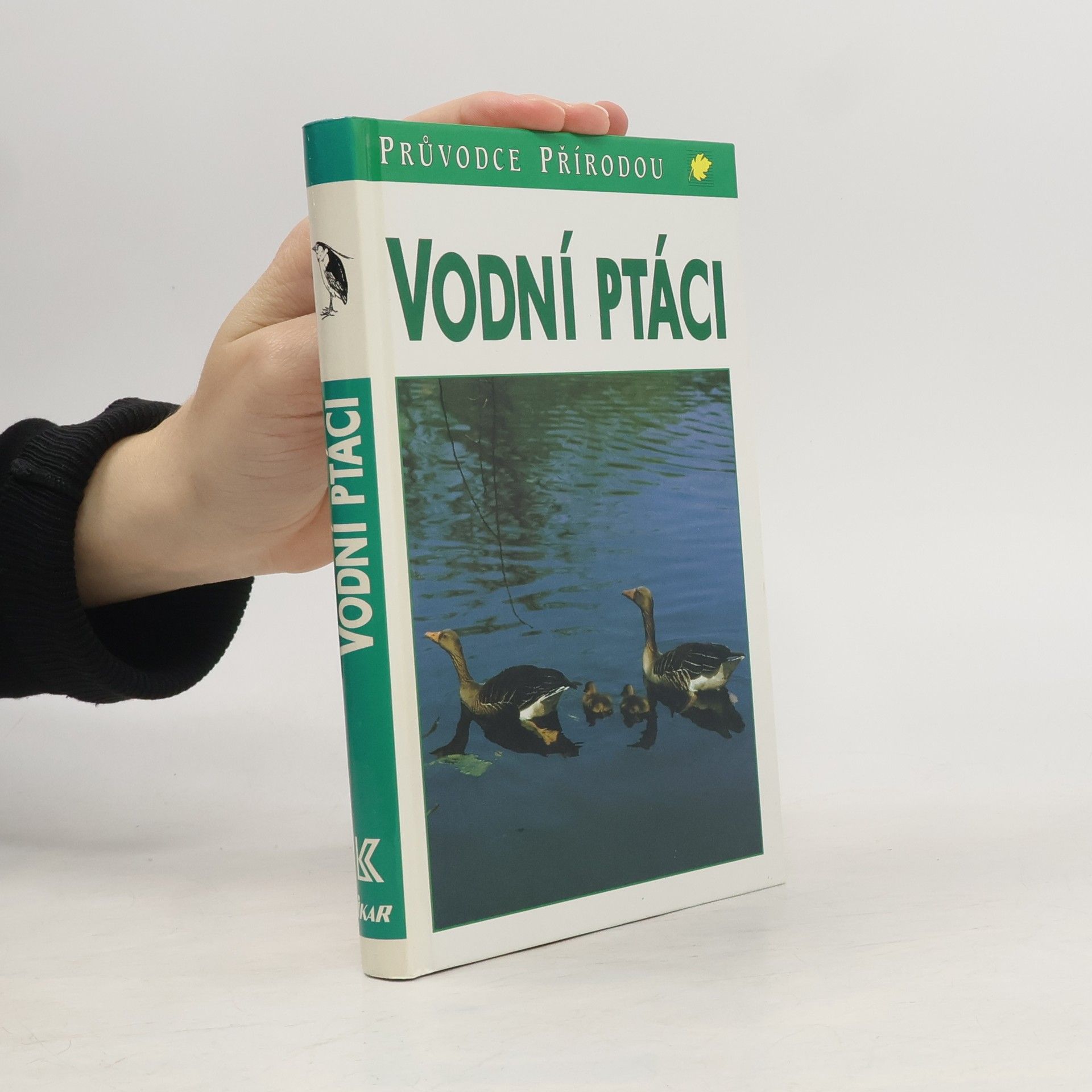 Frieder Sauer Vodní ptáci