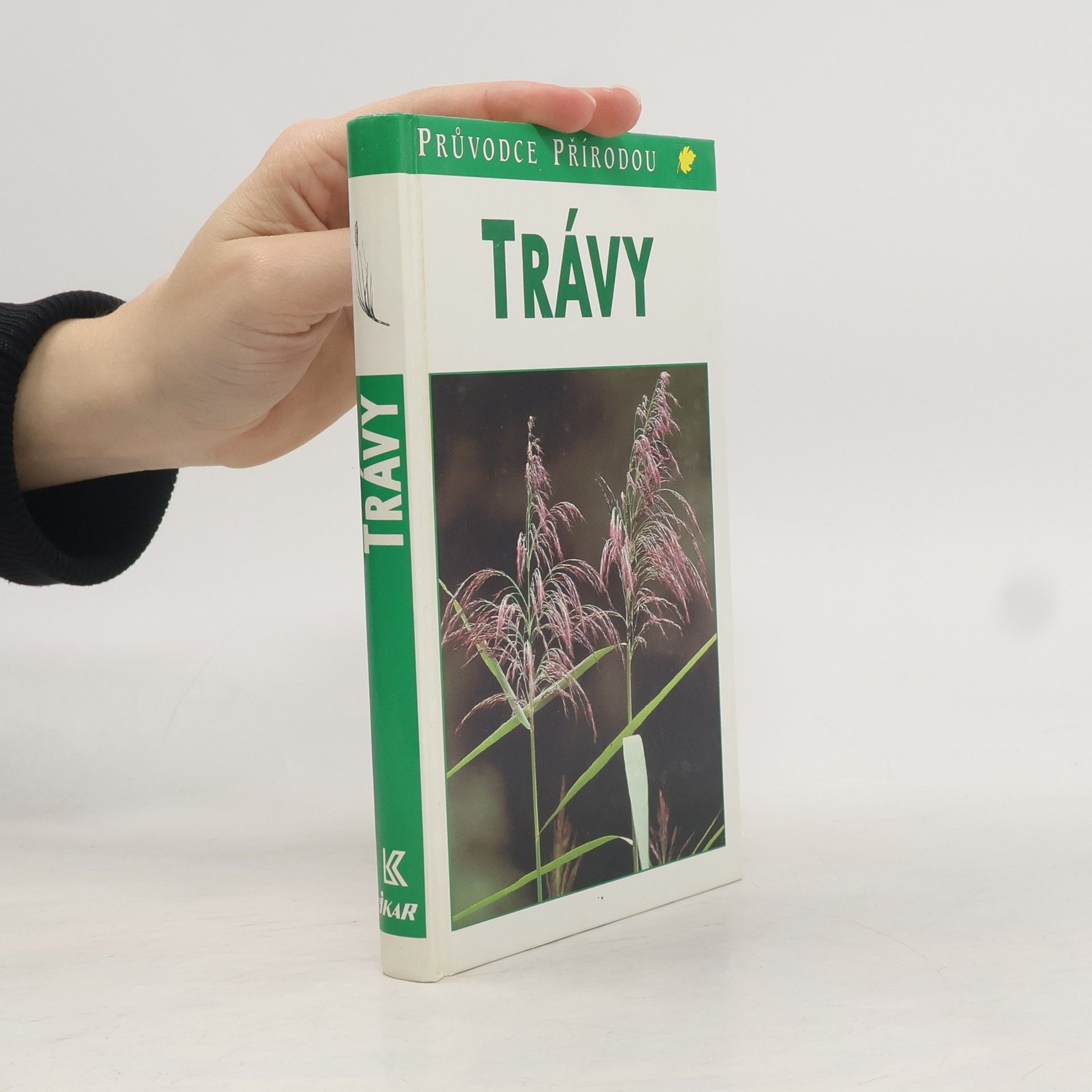 Jürke Grau Trávy : lipnicovité, šáchorovité, sítinovité a rostliny podobné travám Evropy