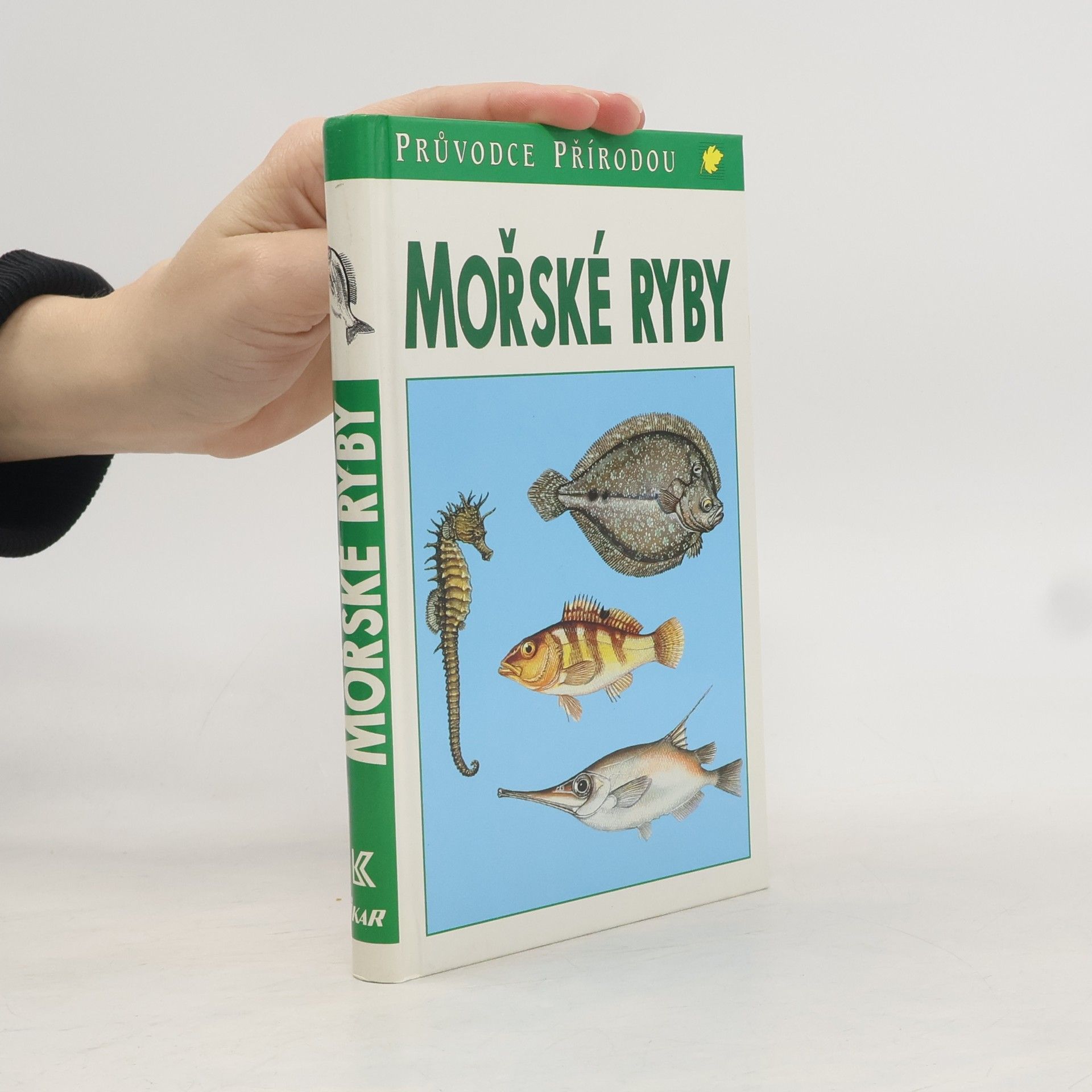 Sauer Frieder Mořské ryby v evropských vodách