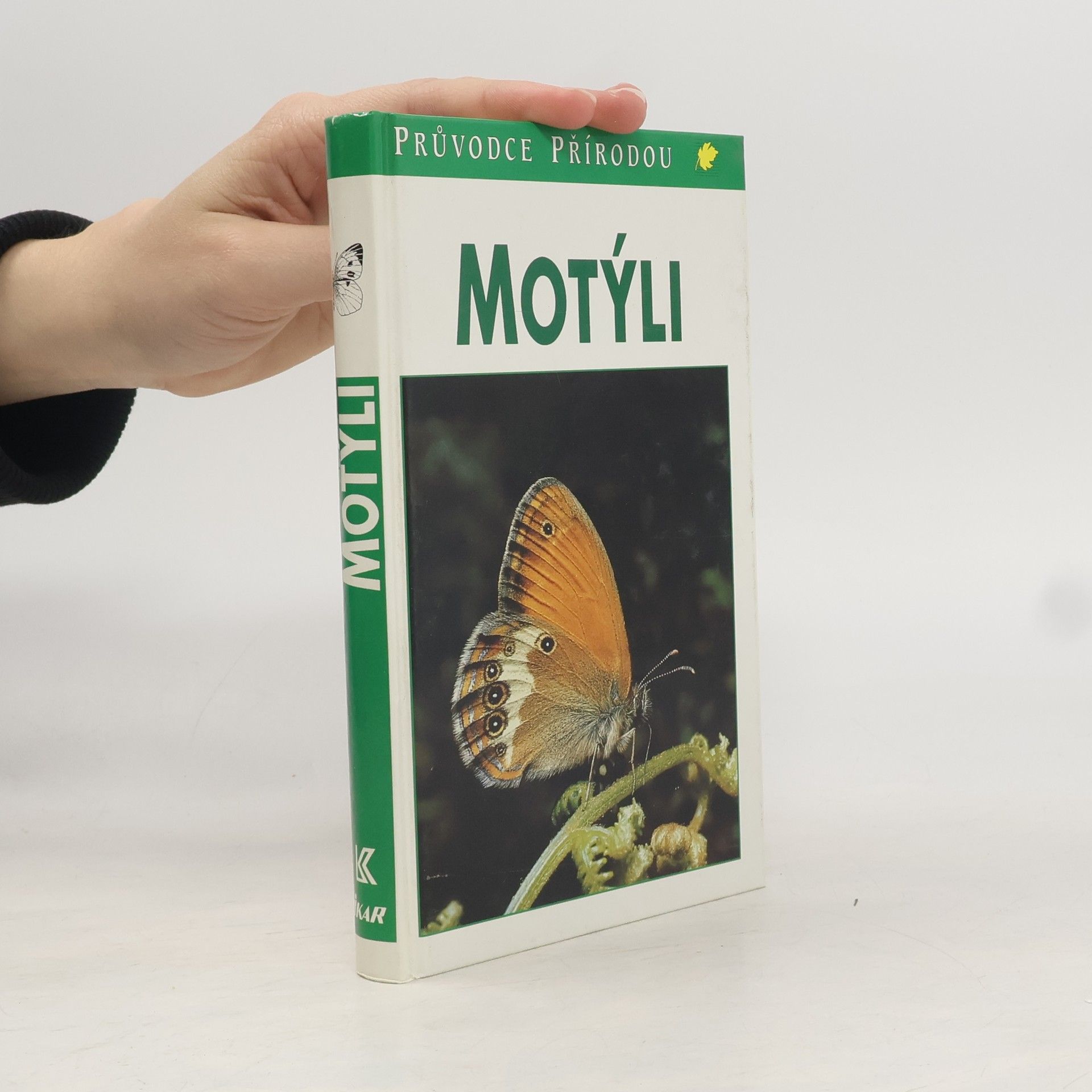 Motýli