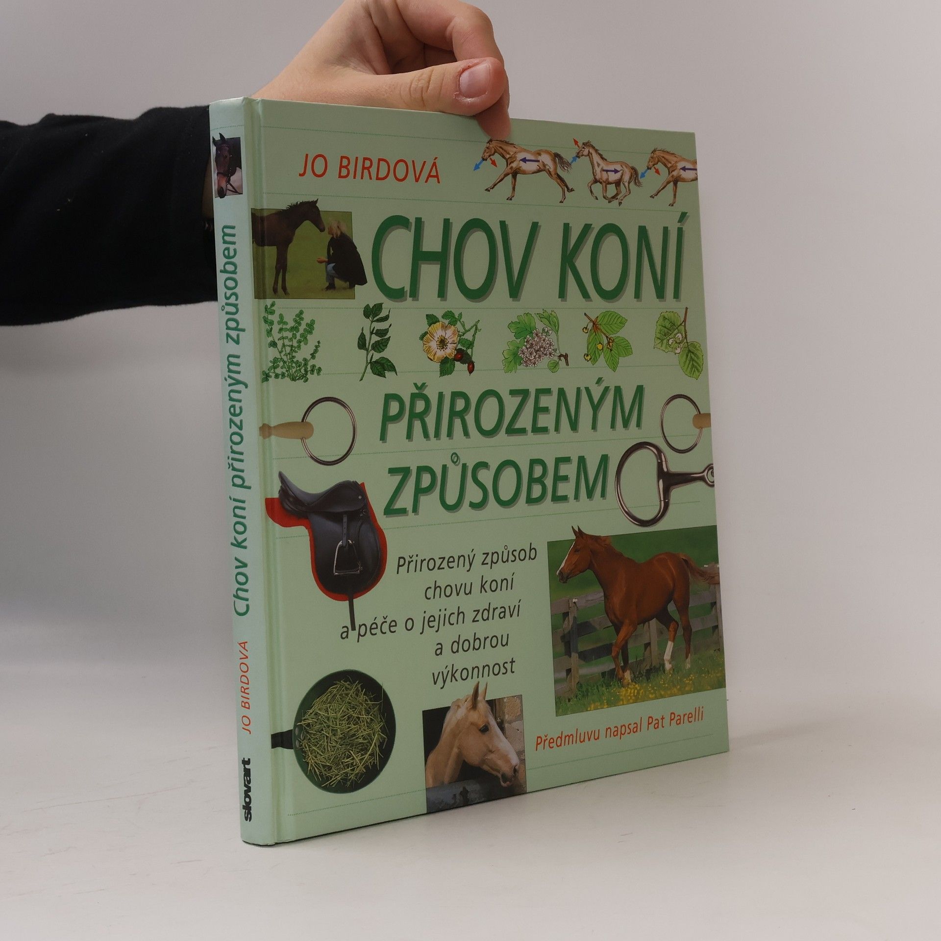 Chov koní přirozeným způsobem: přirozený způsob chovu koní a péče o jejich zdraví a dobrou výkonnost