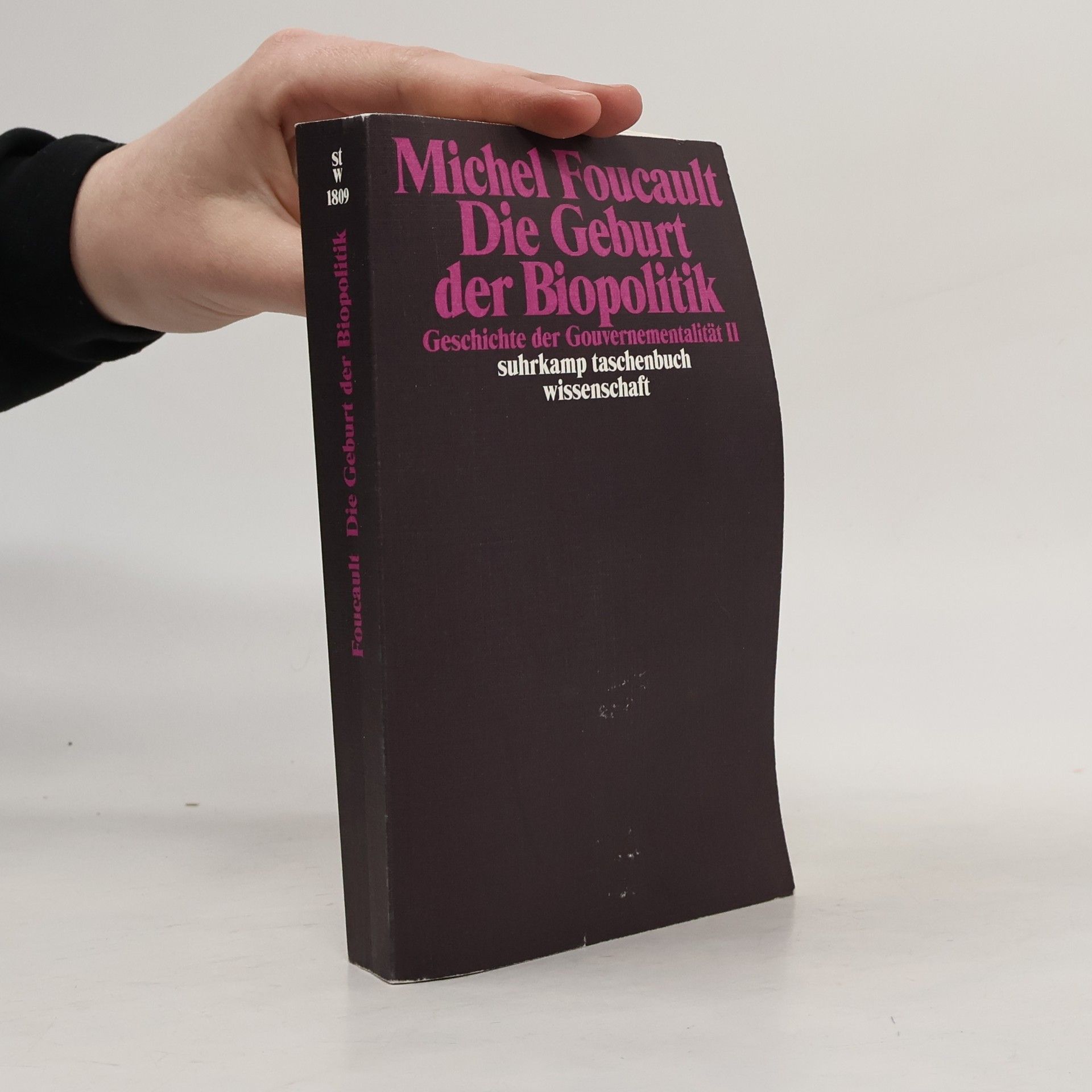 Michel Foucault Geschichte der Gouvernementalität 2