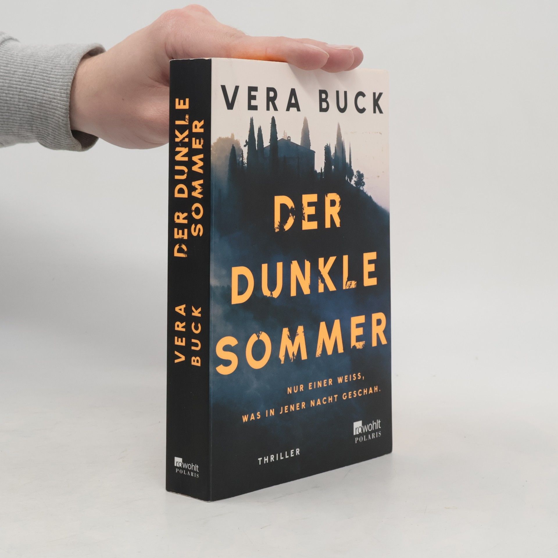 Vera Buck Der dunkle Sommer