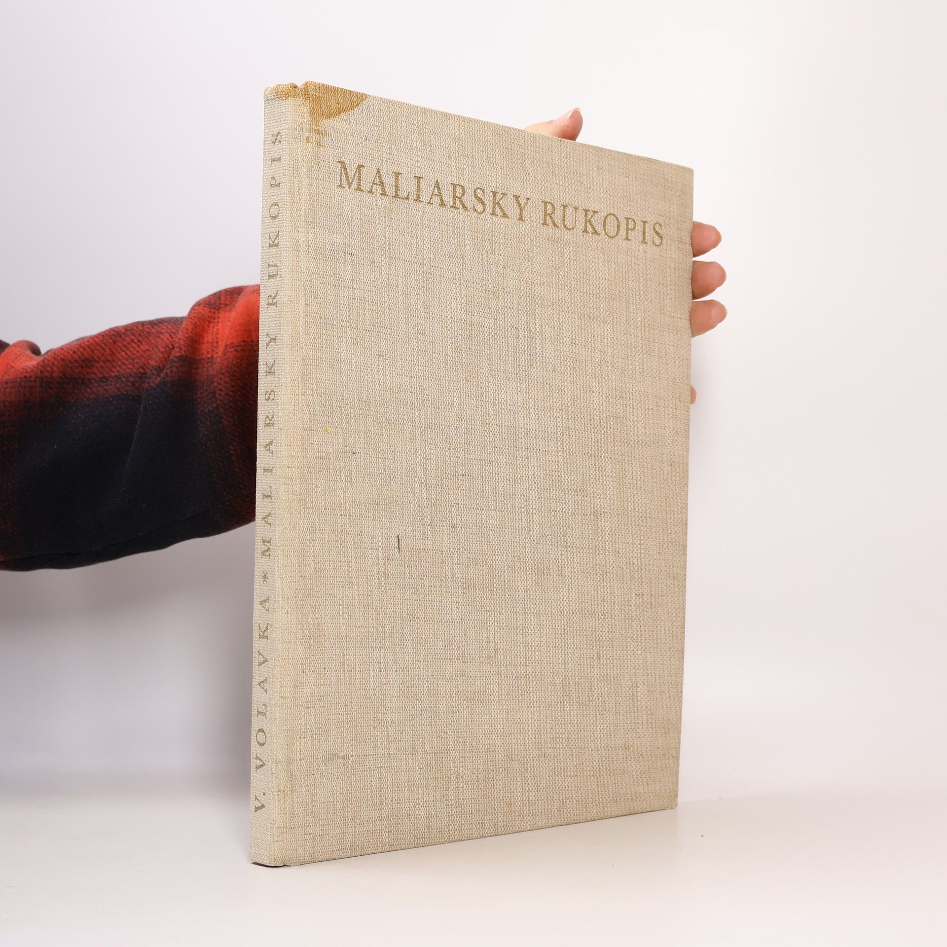 Vojtěch Volavka Maliarsky rukopis