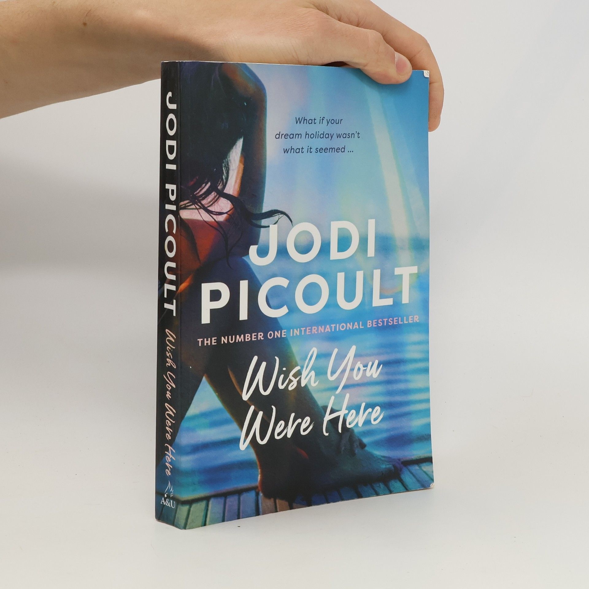 Jodi Picoult Wish You Were Here