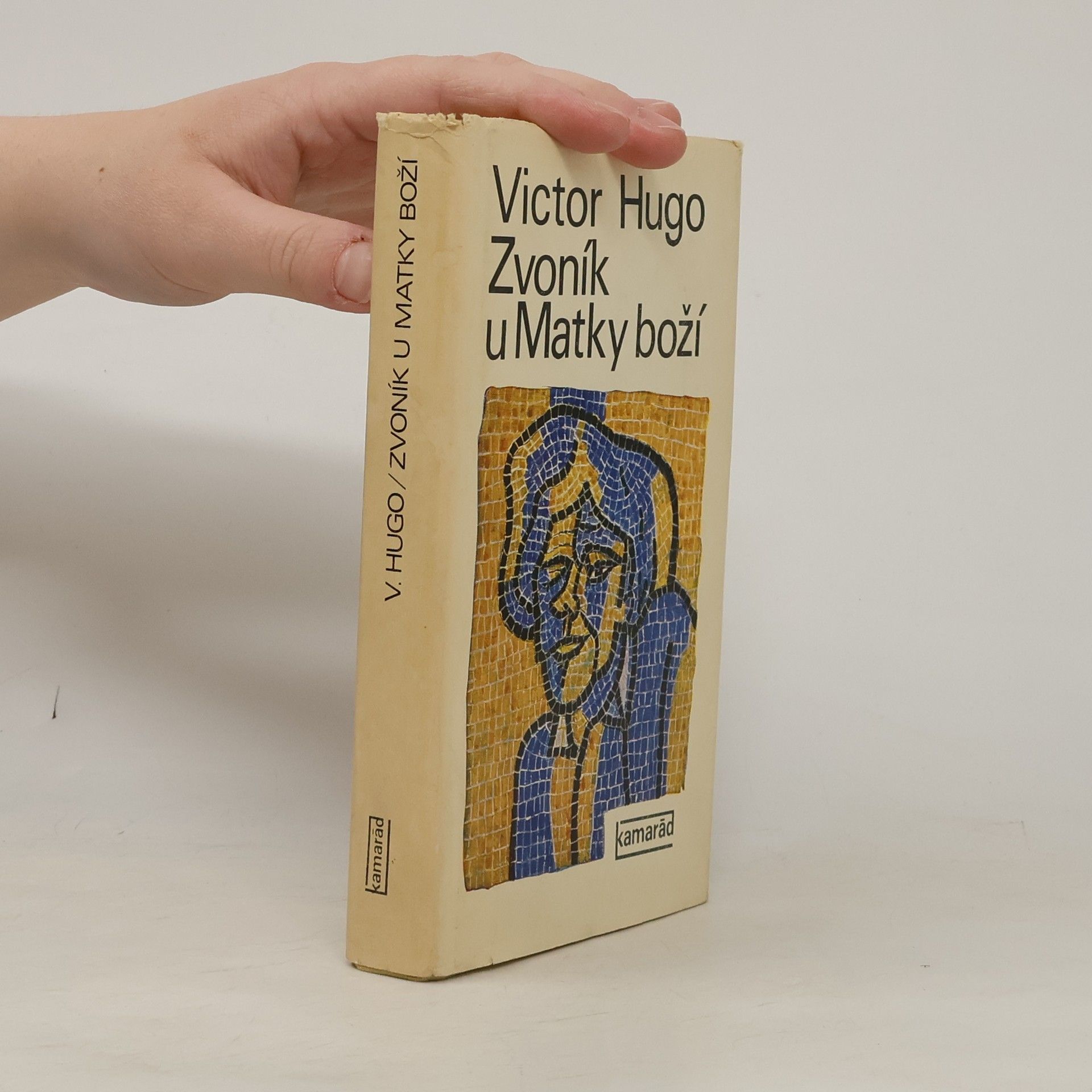 Victor Hugo Zvoník u Matky boží