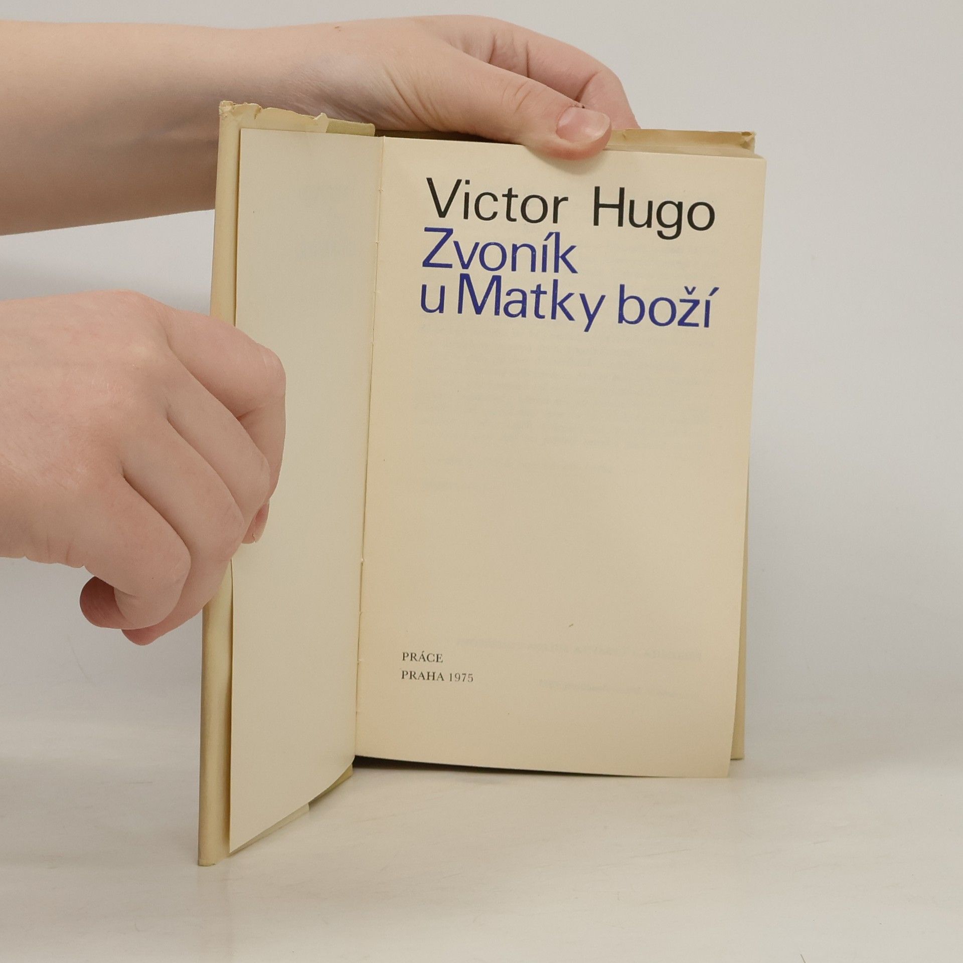 Victor Hugo Zvoník u Matky boží