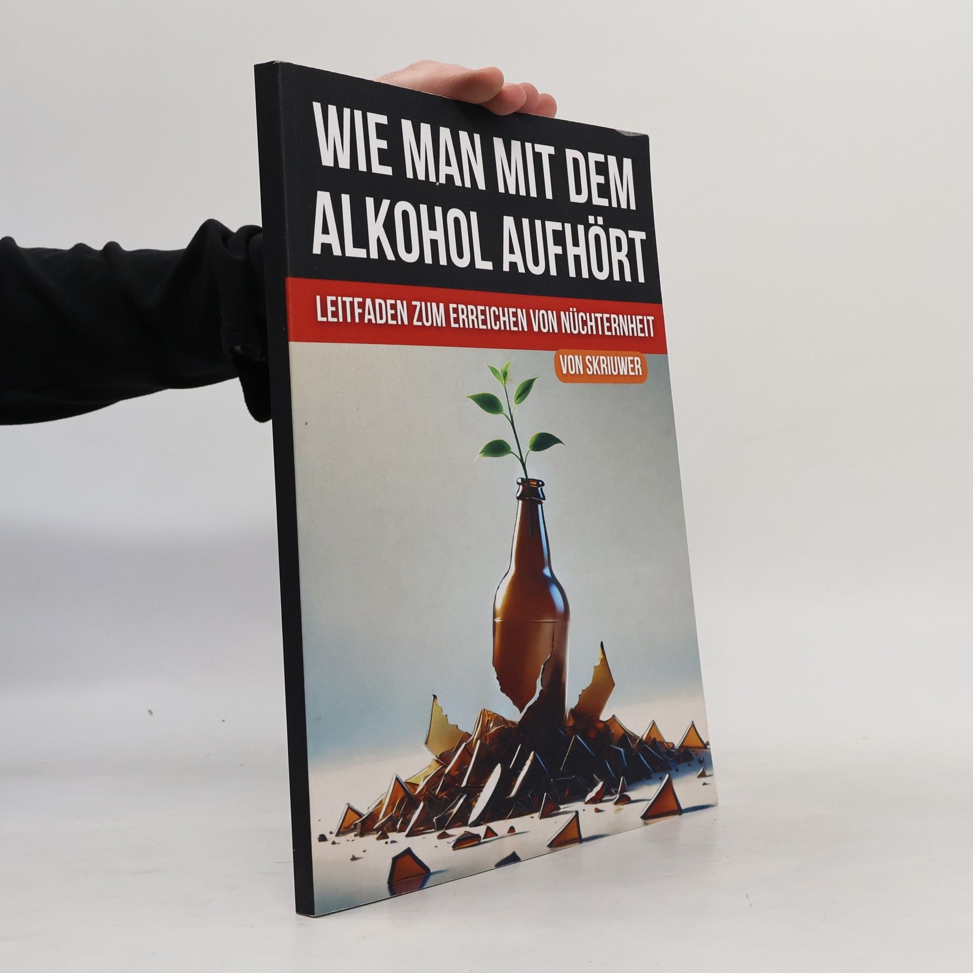 Kolektiv autorů Wie man mit dem Alkohol aufhört
