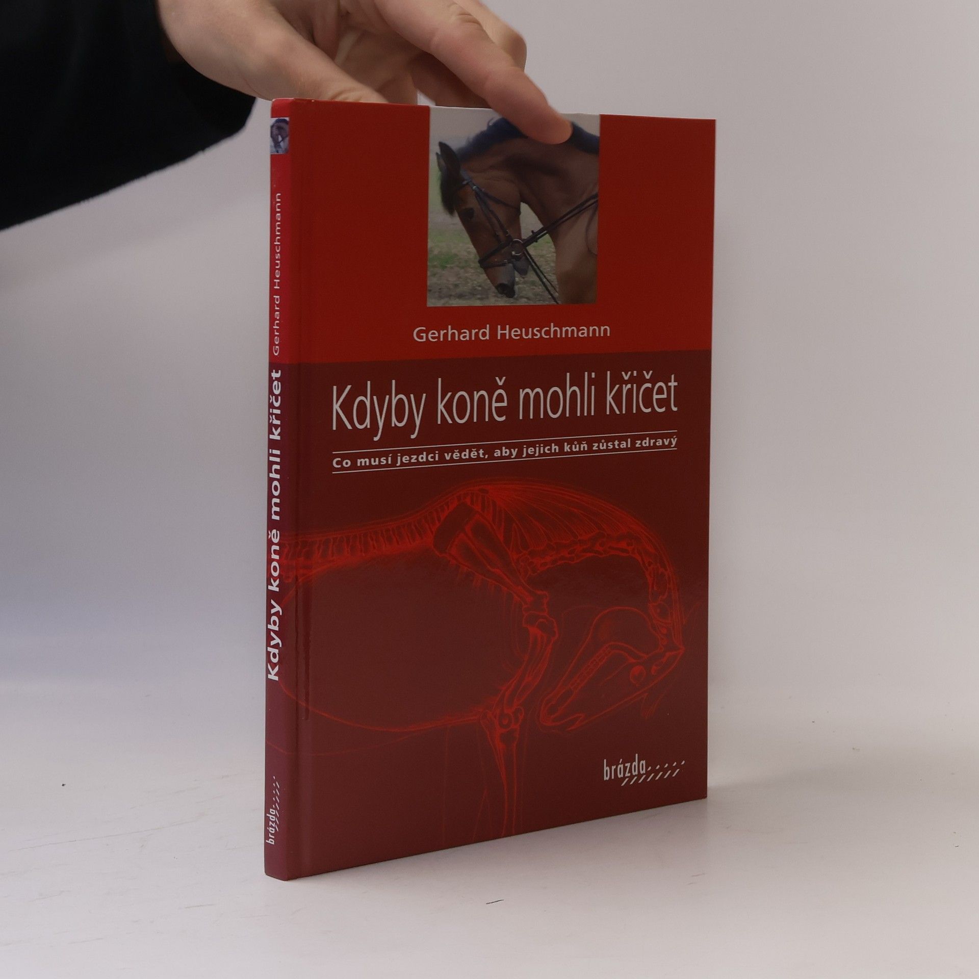 Kdyby koně mohli křičet