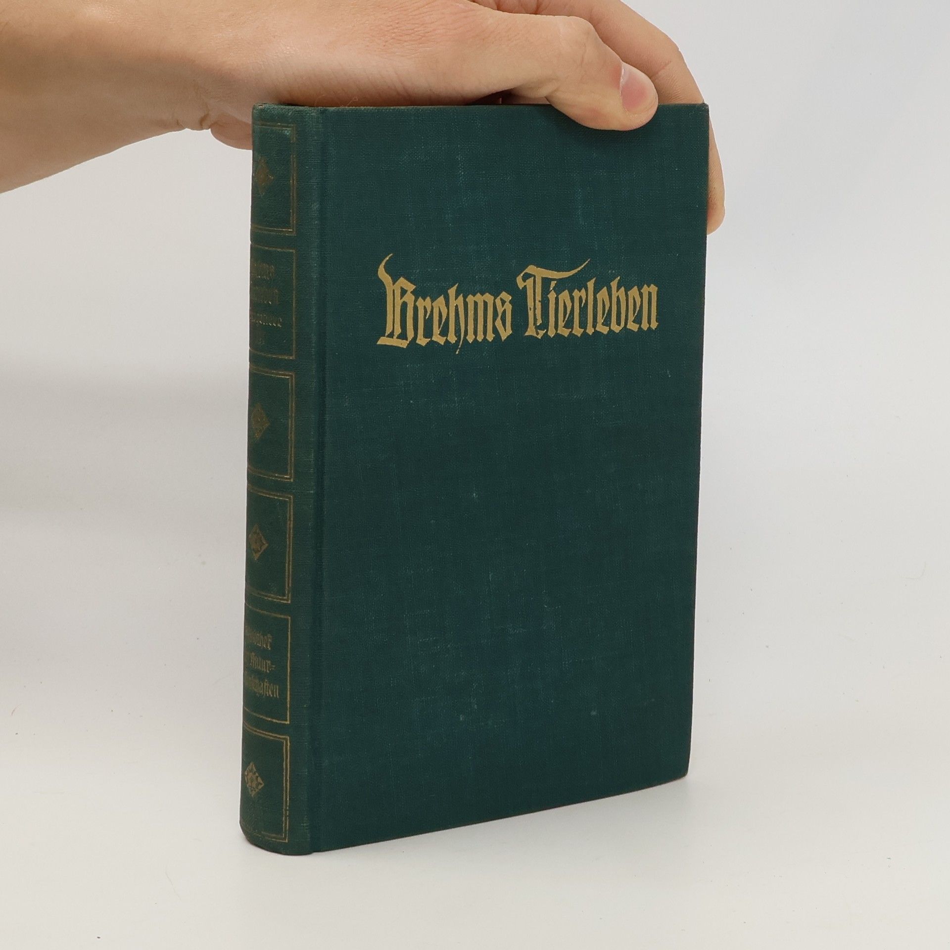 Adolf Meyer Brehms Tierleben. Band 5