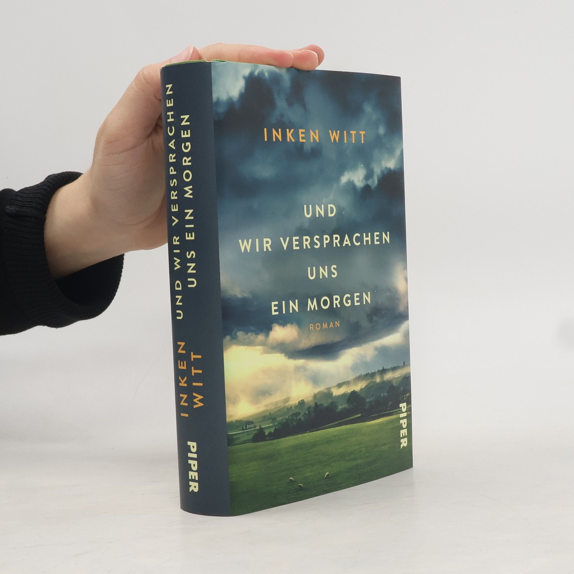 Inken Witt Und wir versprachen uns ein Morgen