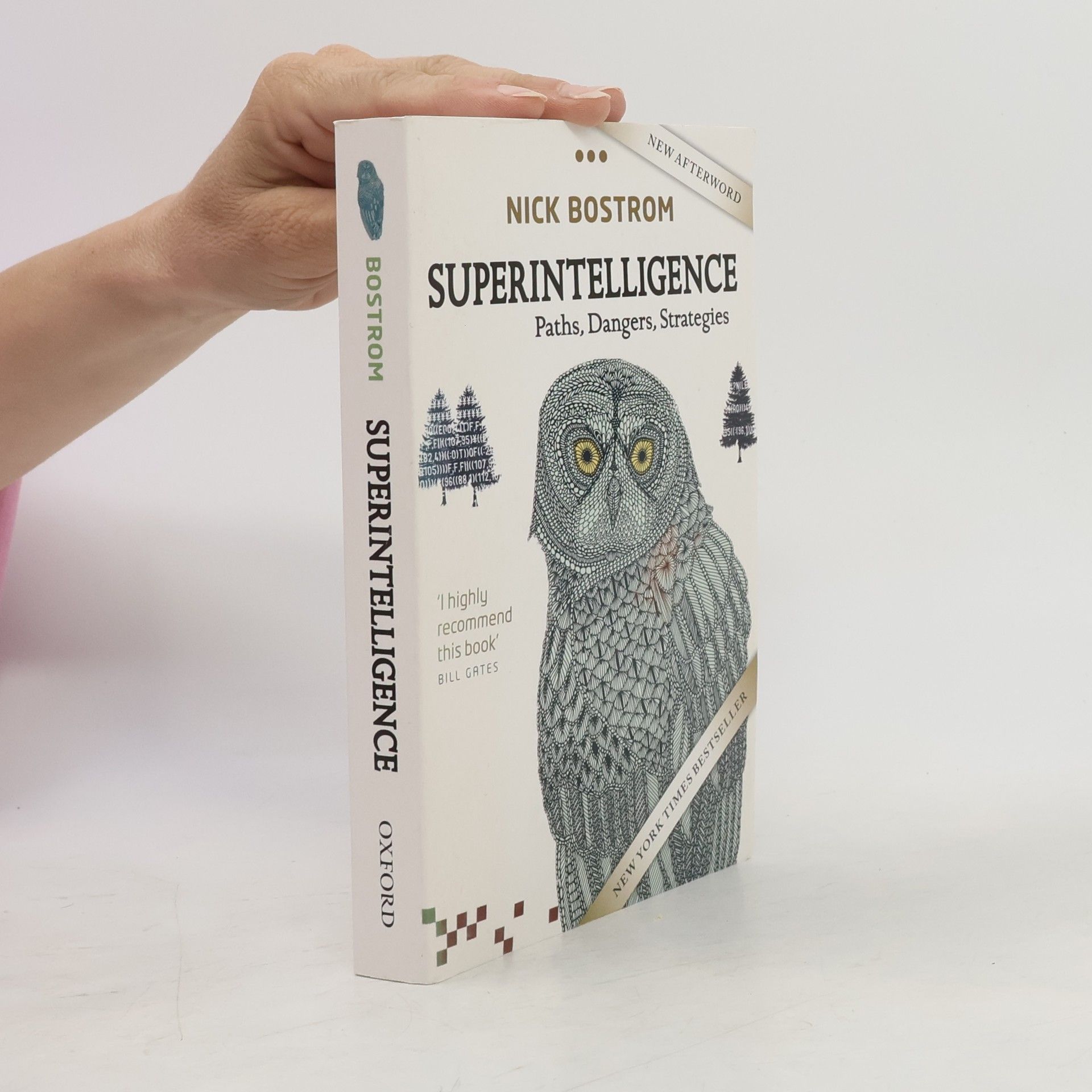 Nick Bostrom Superintelligence