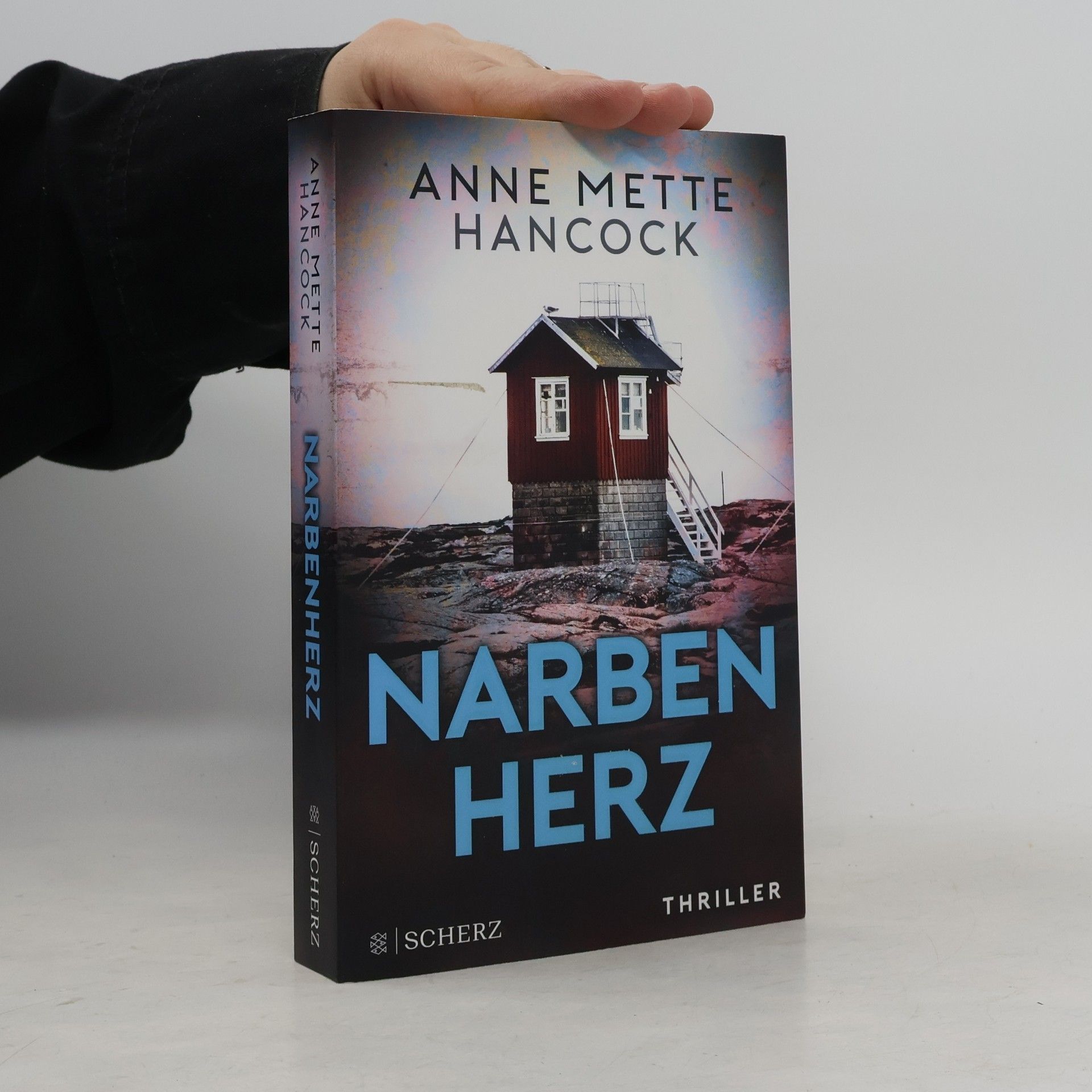 Anne Mette Hancock Narbenherz