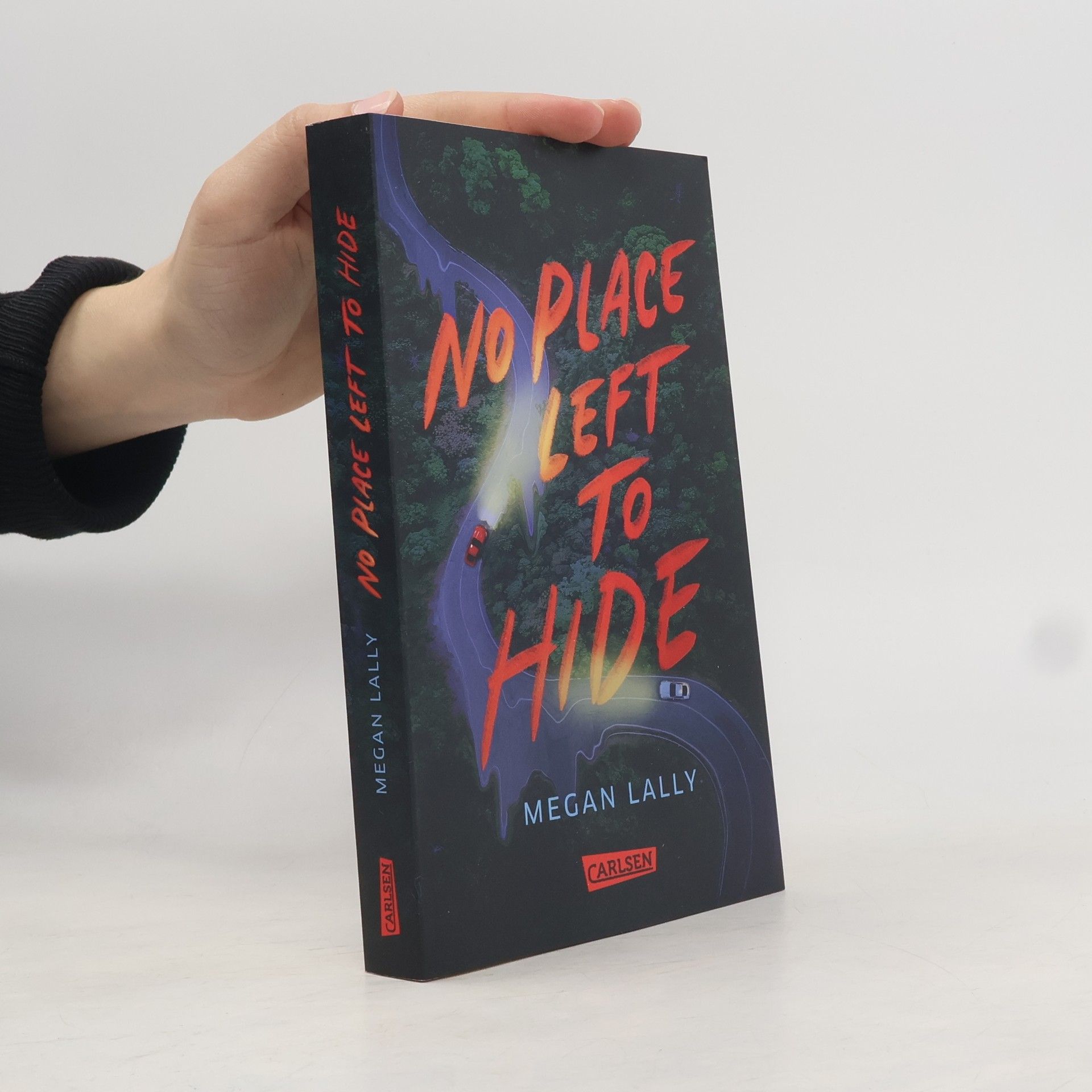 Megan Lally No Place Left to Hide