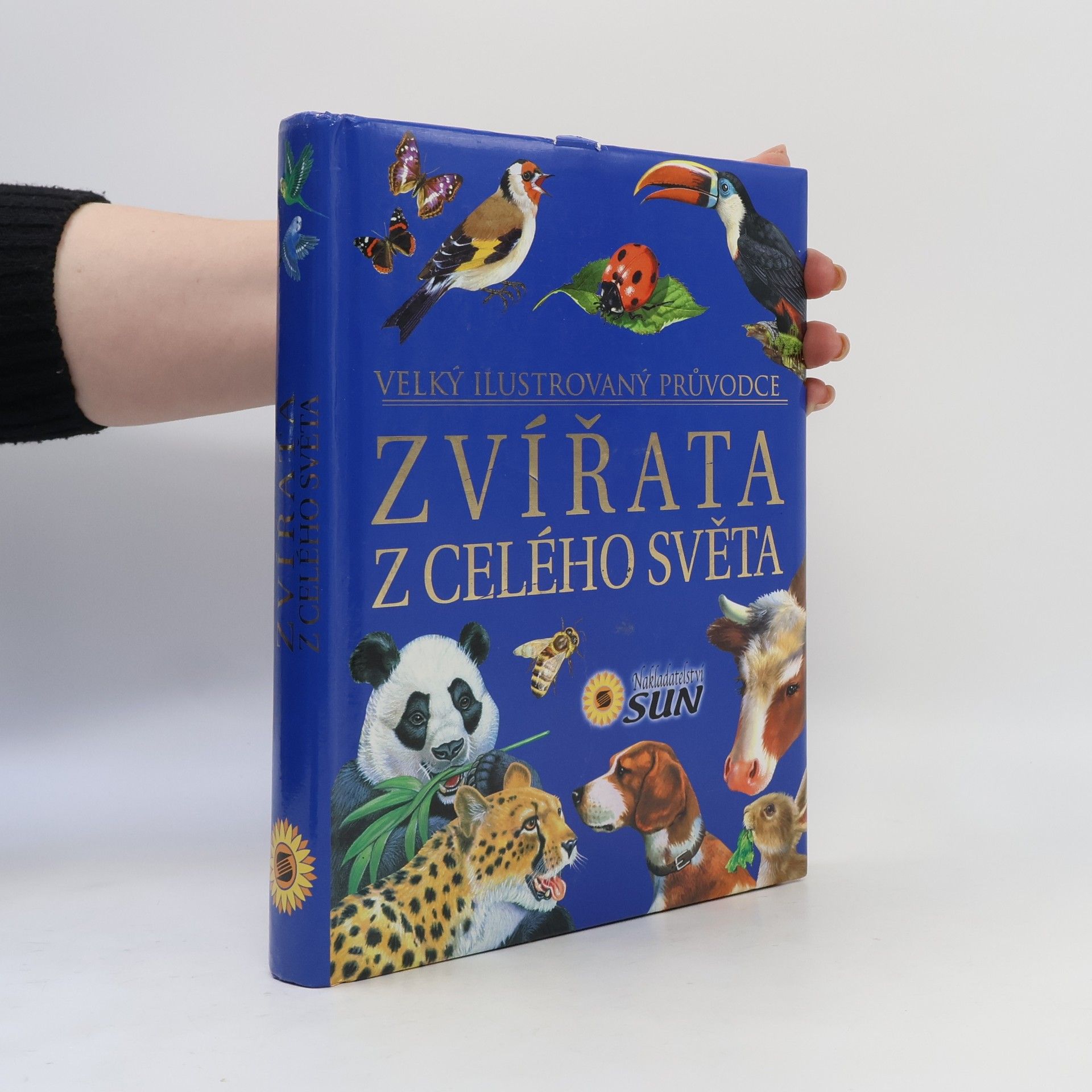 Autorenkollektiv Zvířata z celého světa