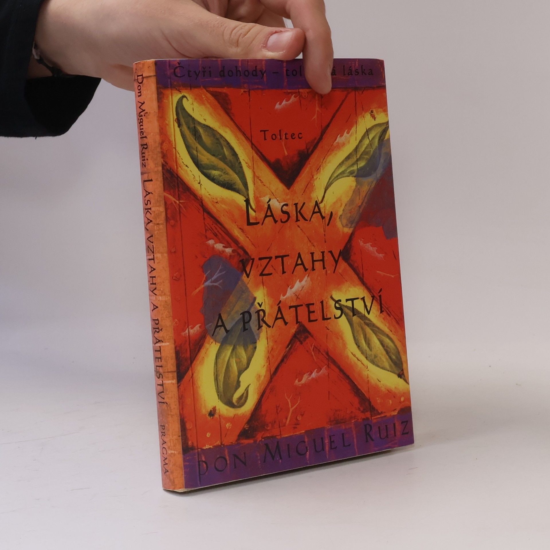 Don Miguel Ruiz Láska, vztahy a přátelství