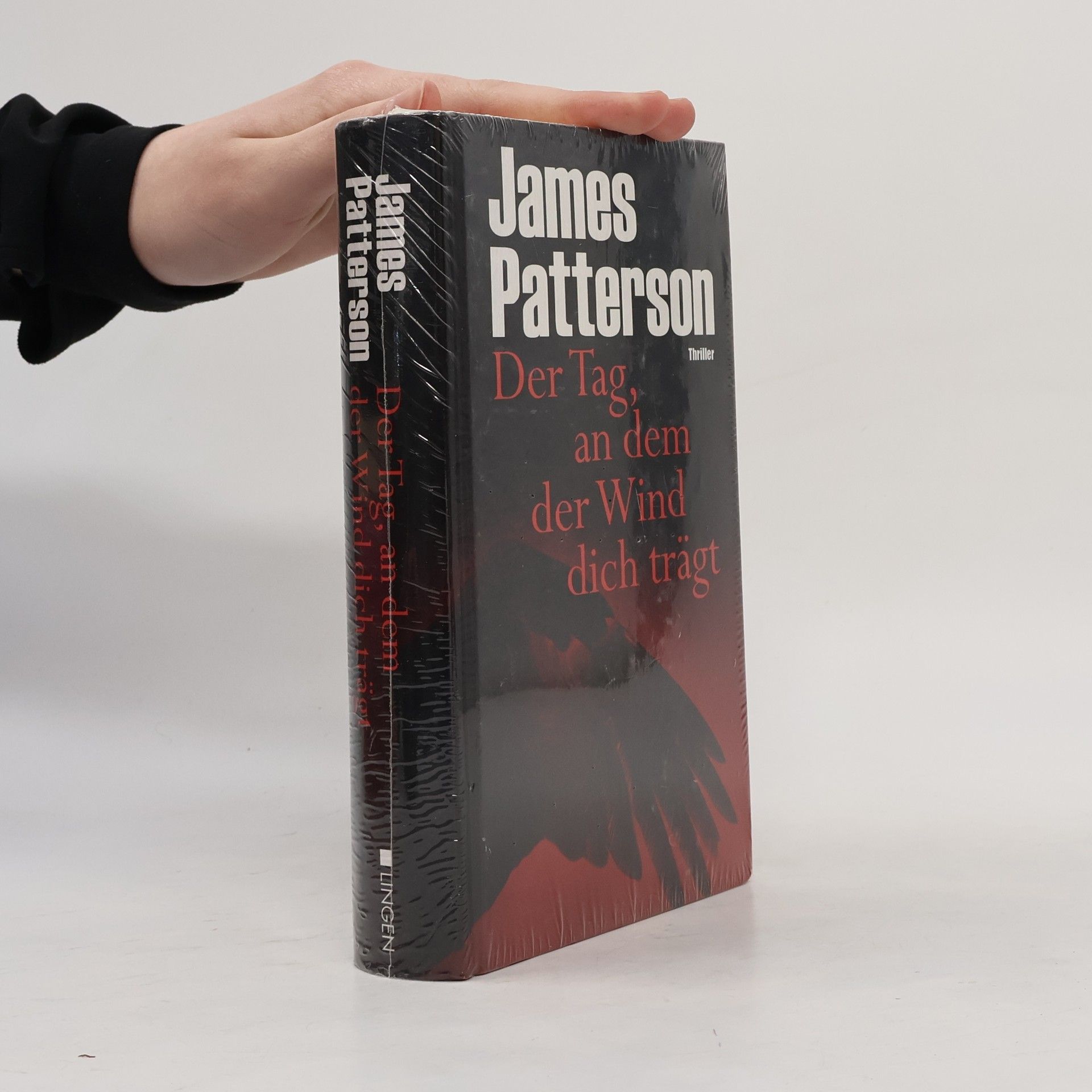 James Patterson Der Tag, an dem der Wind dich trägt