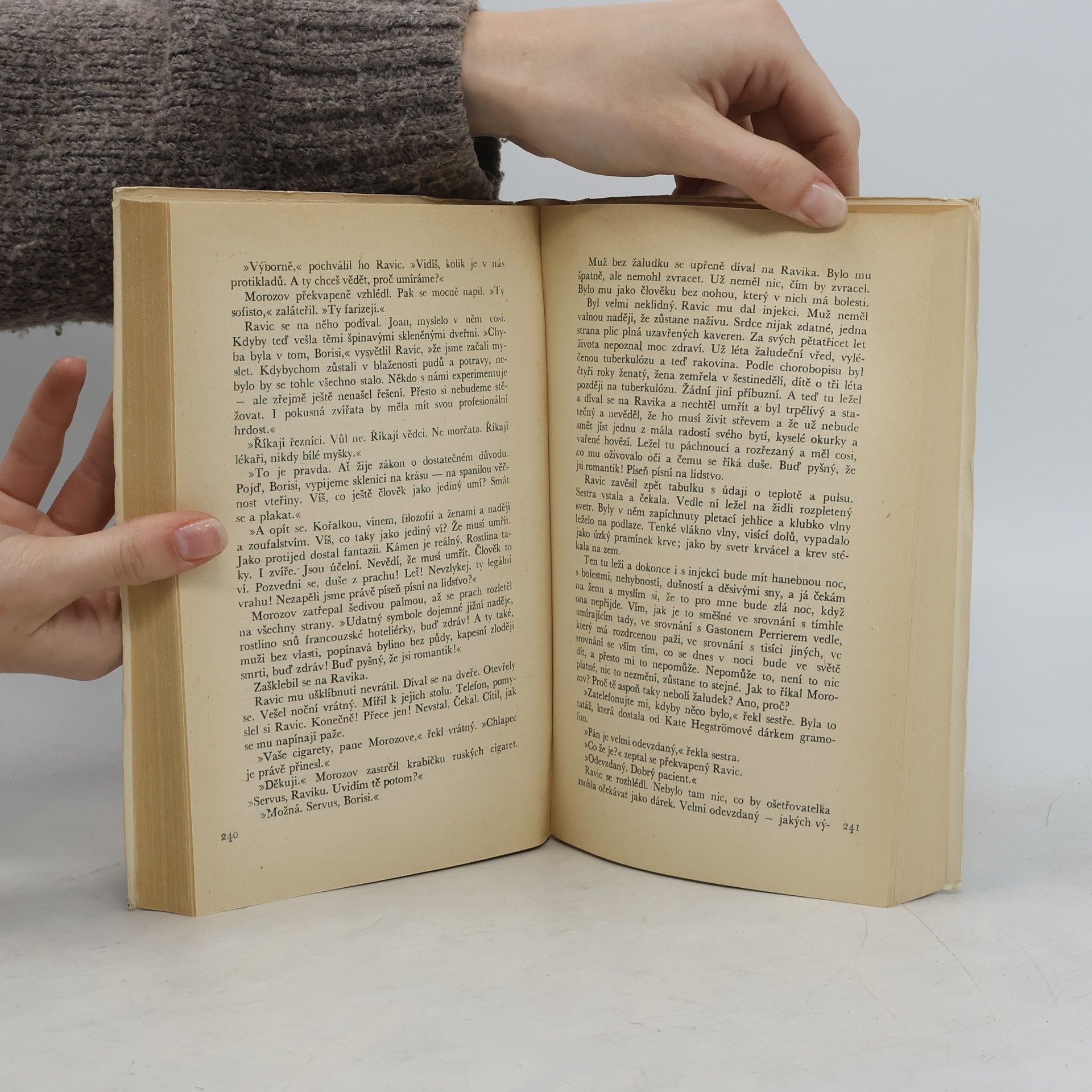 Erich Maria Remarque Vítězný oblouk