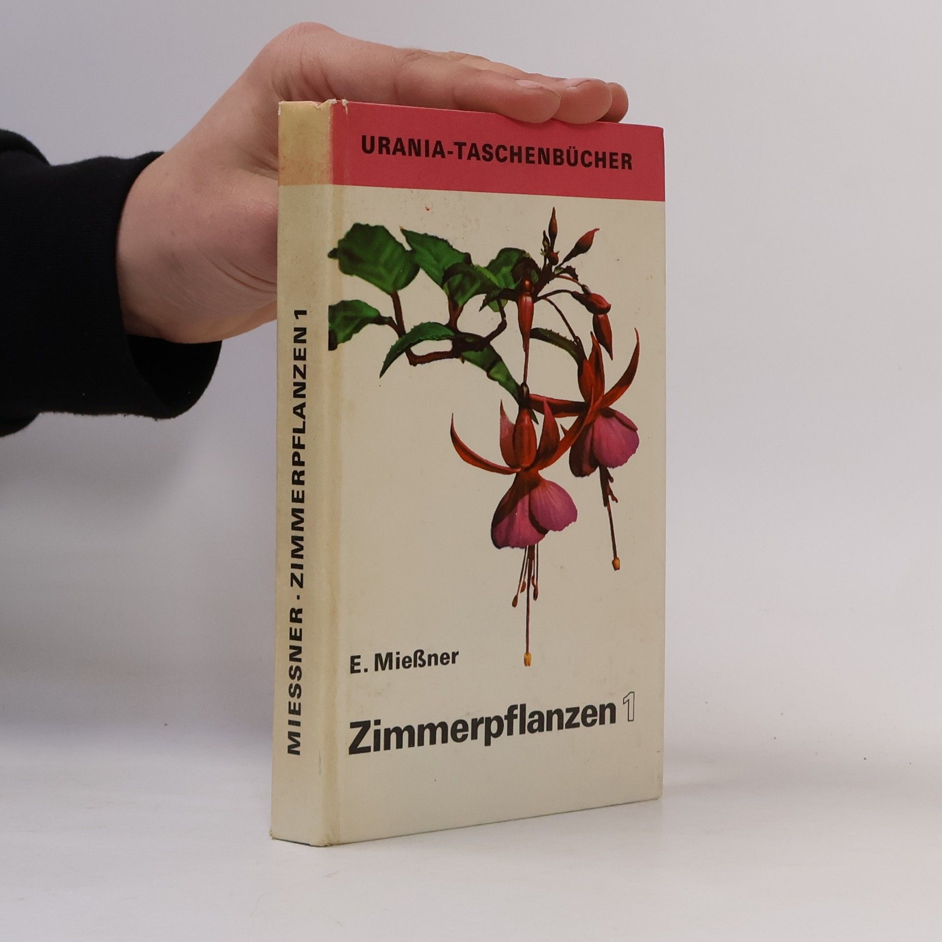 E. Mießner Zimmerpflanzen 1