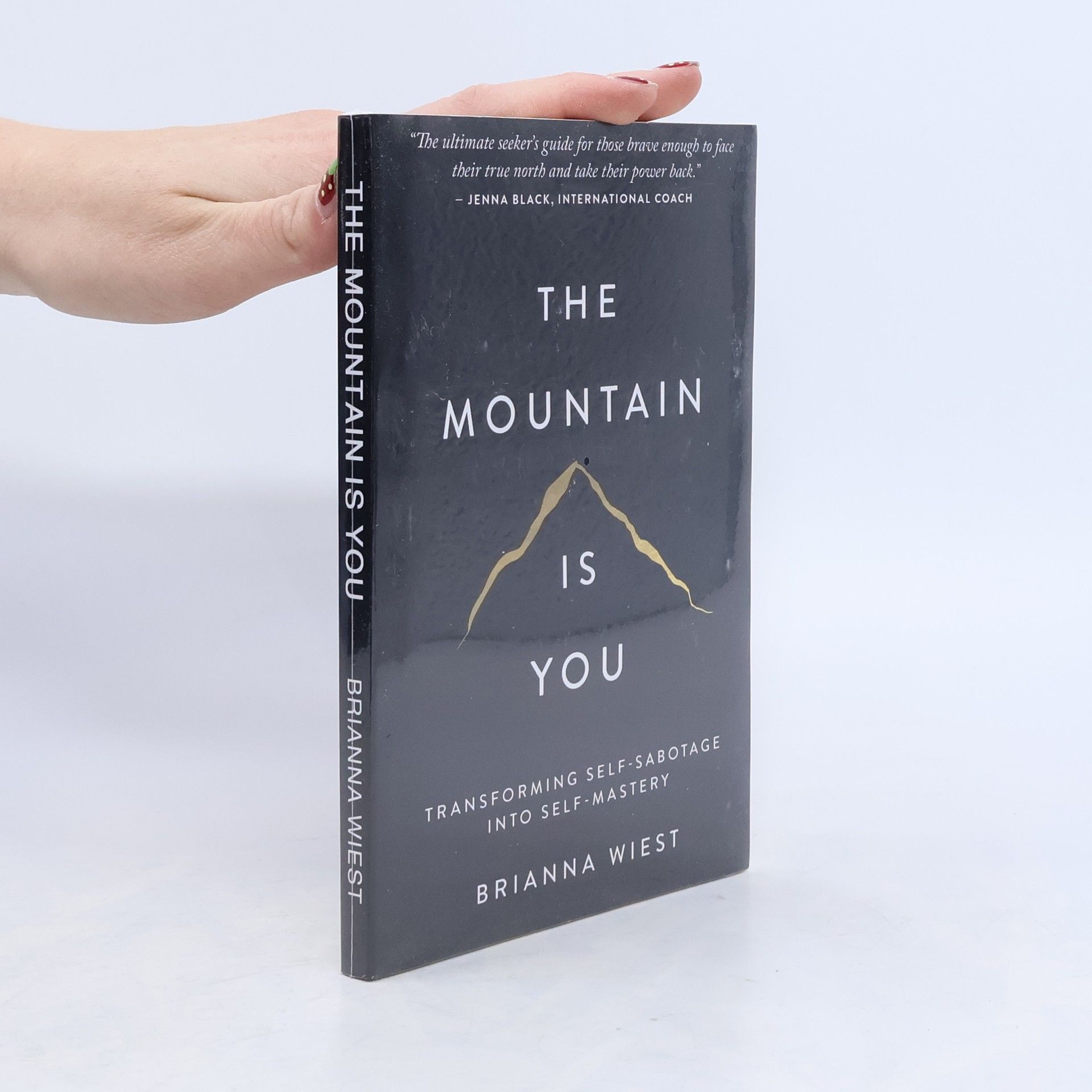 Brianna Wiest The Mountain Is You