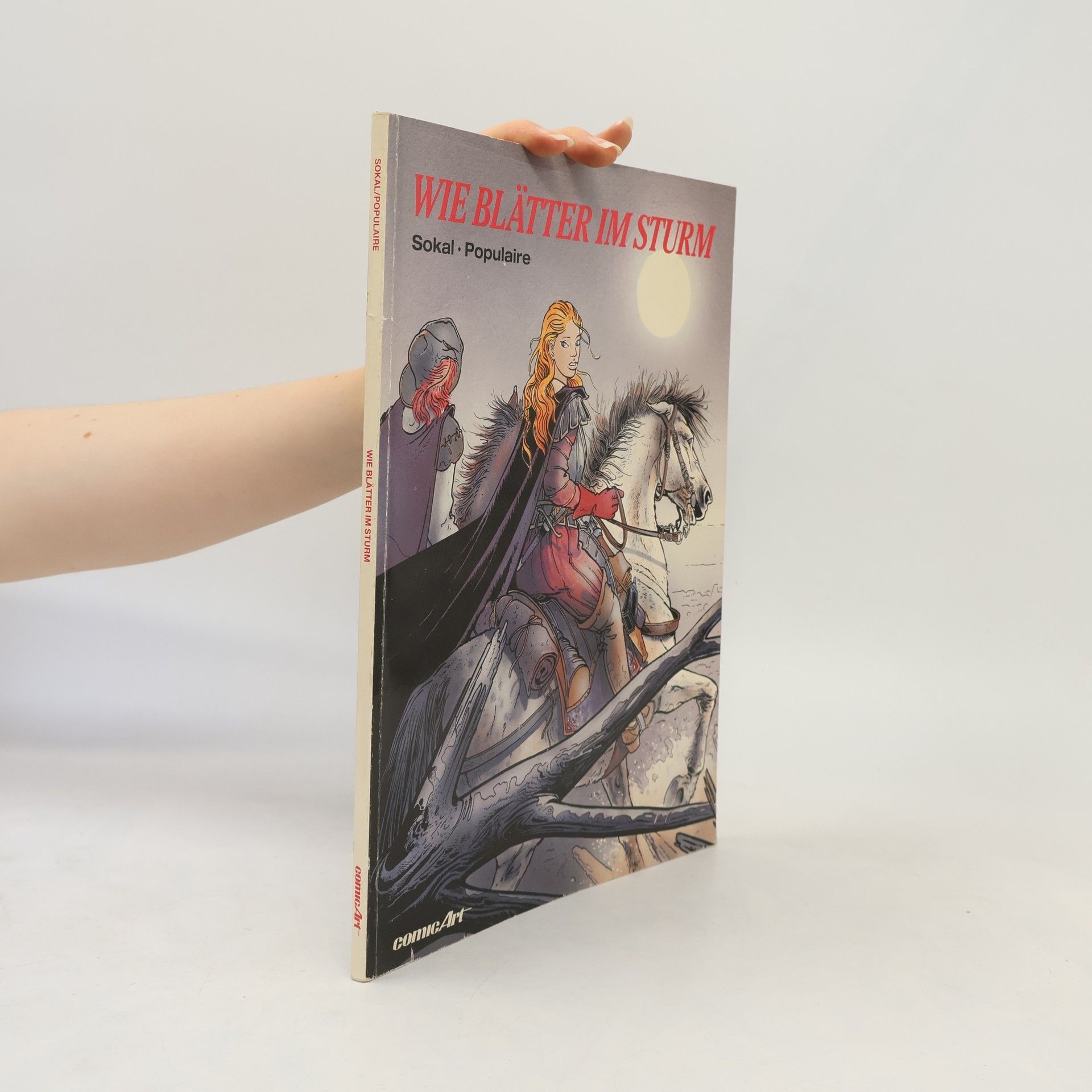 Autorenkollektiv Wie Blätter im Sturm