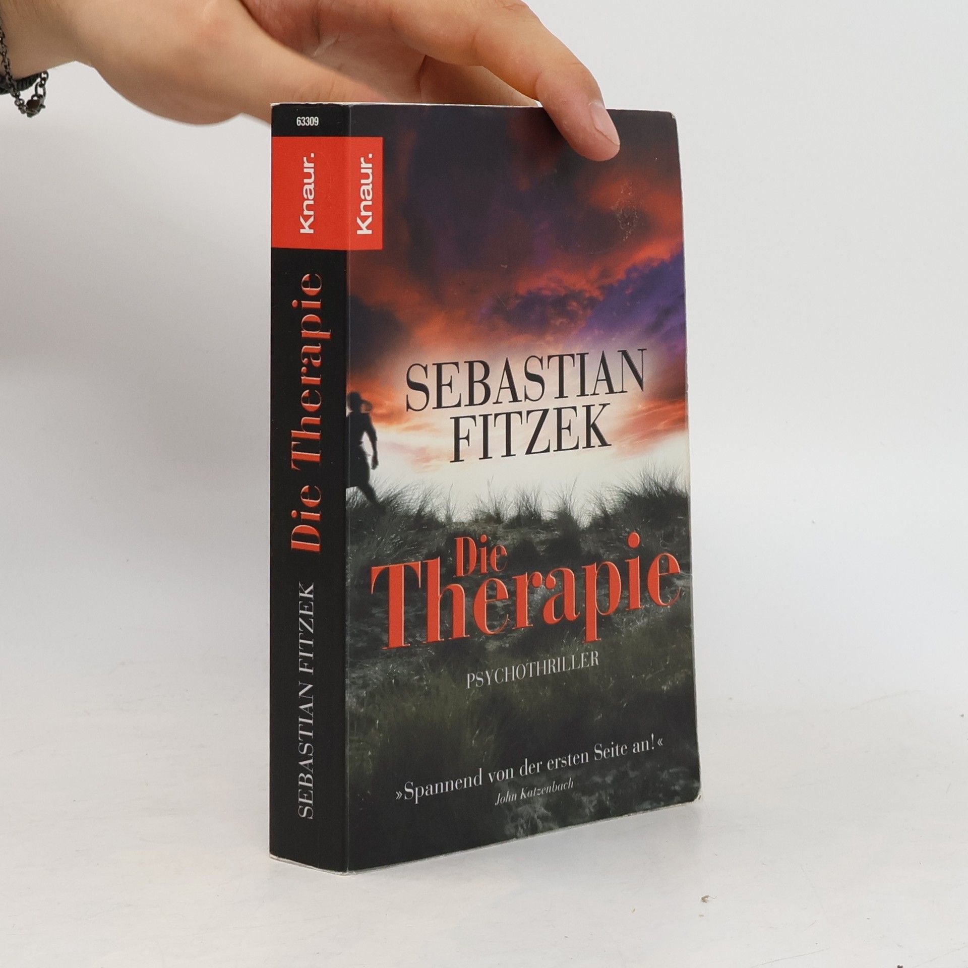 Sebastian Fitzek Die Therapie