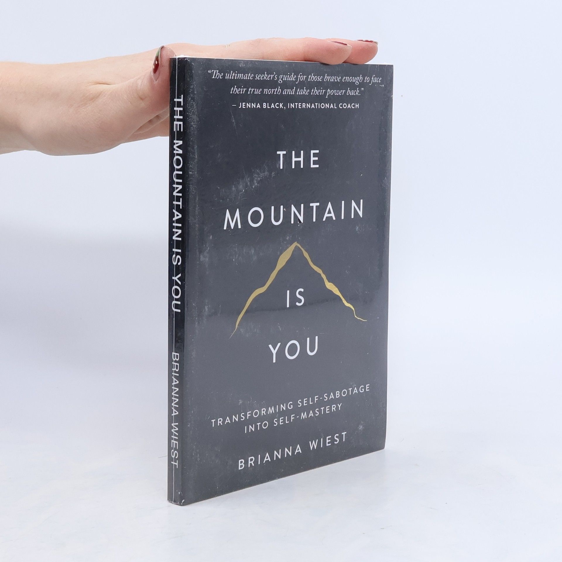 Brianna Wiest The Mountain Is You