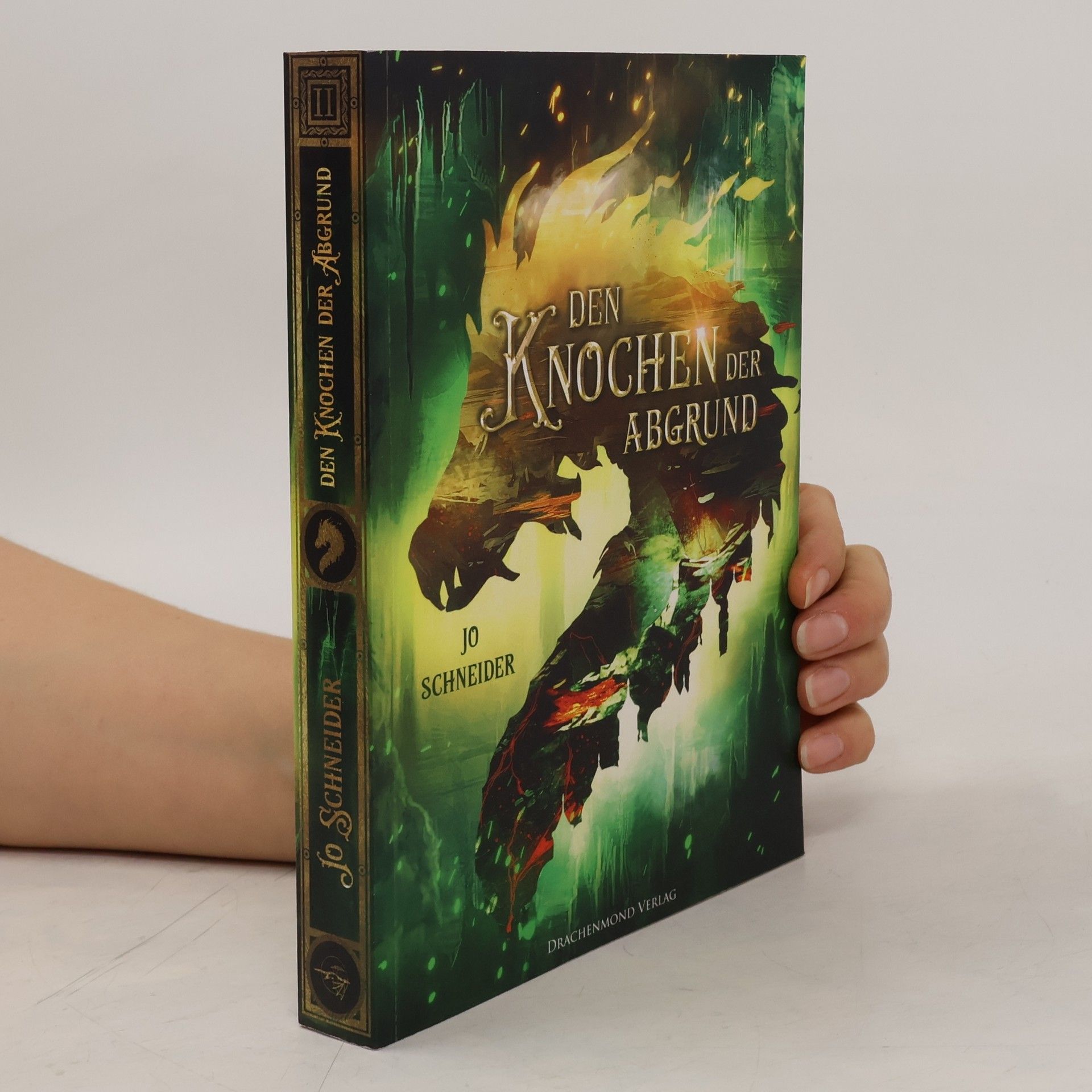 Jo Schneider Den Knochen der Abgrund