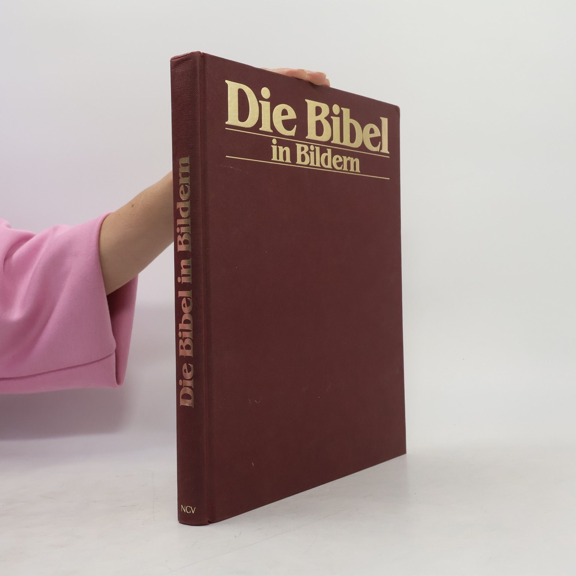 Autorenkollektiv Die Bibel in Bildern. Schatzkammer der Malerei