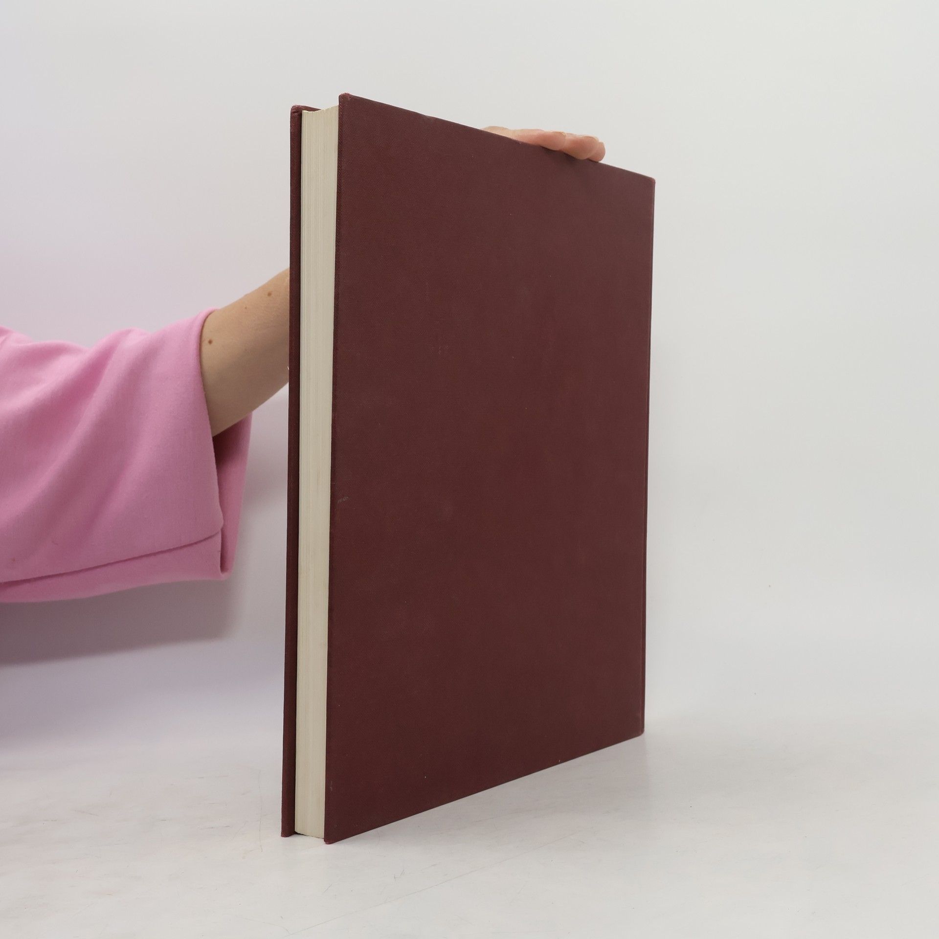 Autorenkollektiv Die Bibel in Bildern. Schatzkammer der Malerei