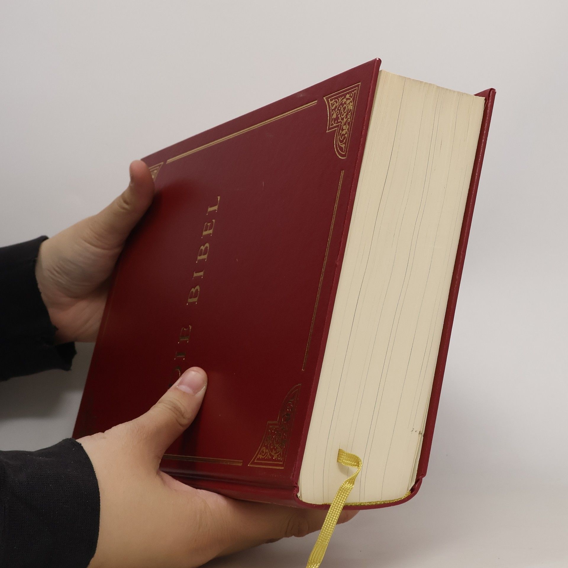 Collectif d'auteurs Die Bibel