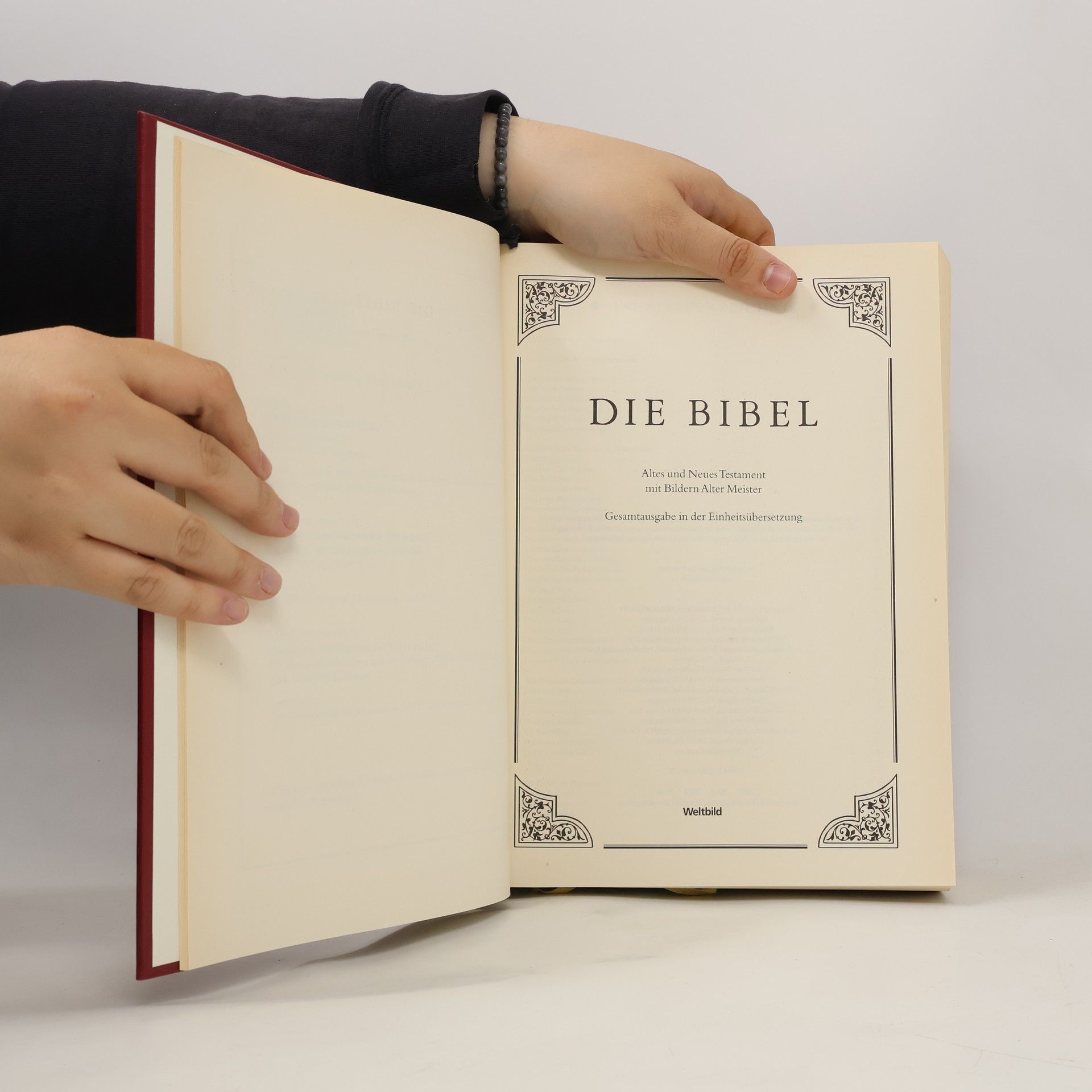 Collectif d'auteurs Die Bibel
